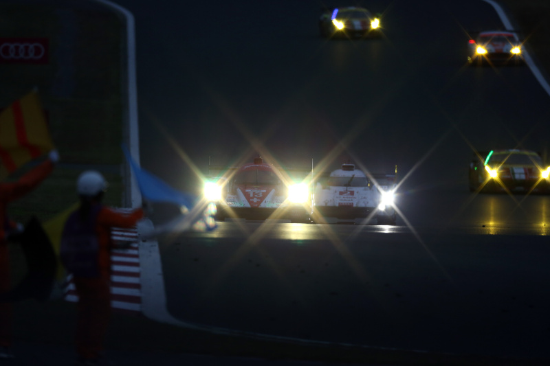 1/500秒 / F5.6 / ISO1250 / キヤノンEOS-1D X / 800mm