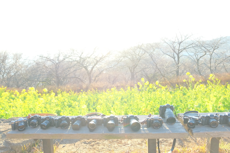 みんなのX-T1、X-E2、X-M1を並べて記念撮影。たくさんのX-T1は圧巻ですね。