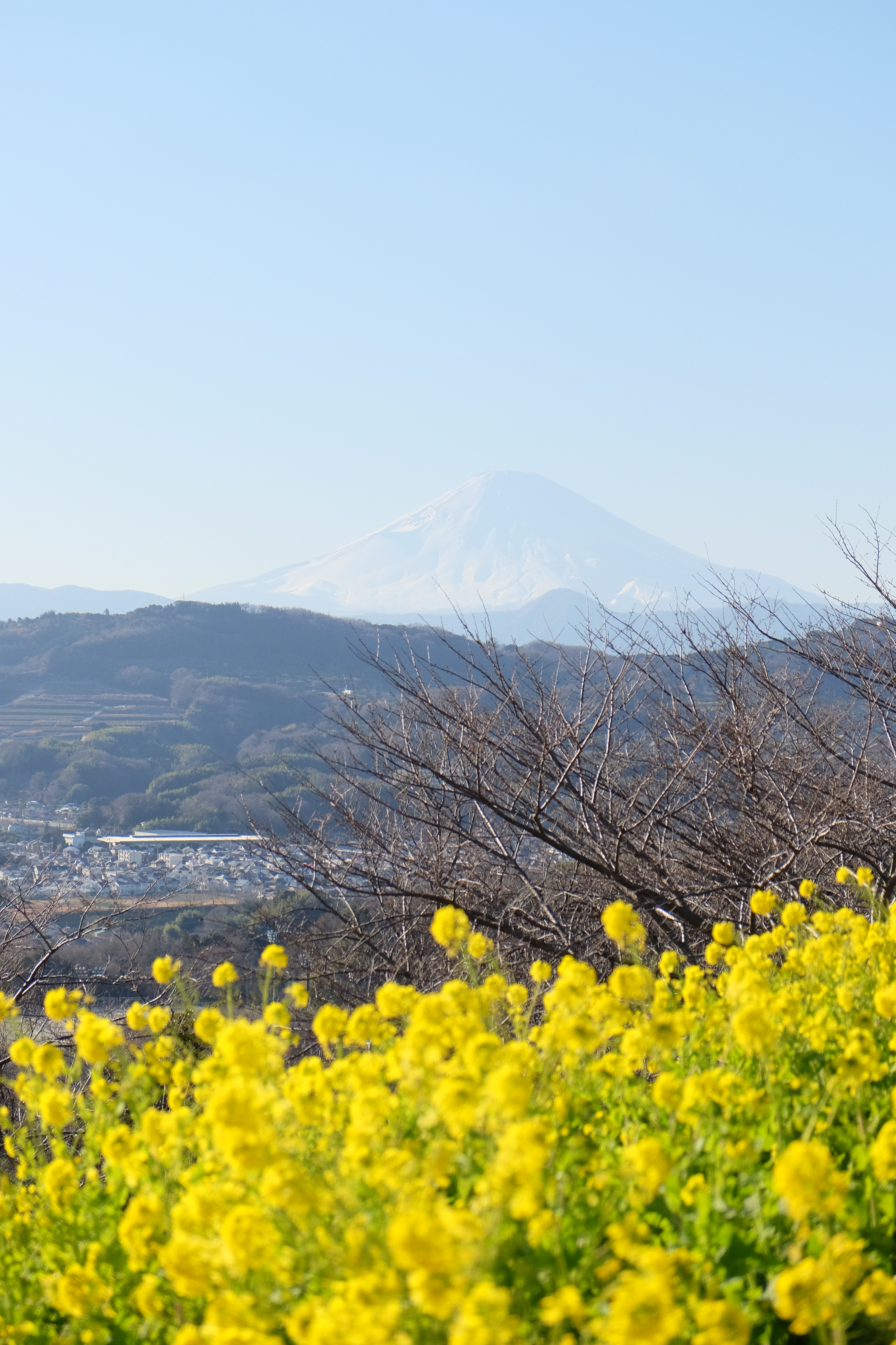 minoeさん。さちさんの講座初めての参加でしたが、天気もよくてとても楽しかったです。同じ場所で撮っているのに人によって全然違くて勉強になりました。みんなで撮るって楽しいですね！