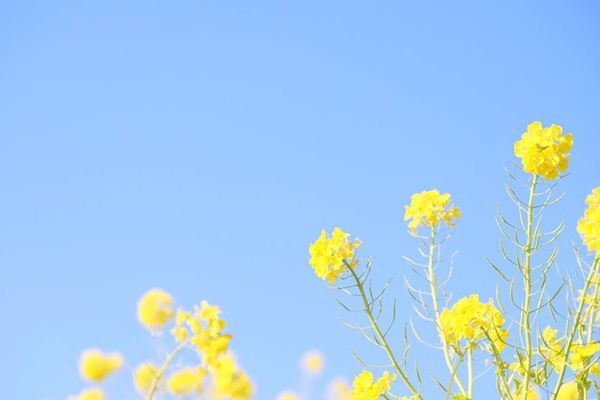 miyaさん。もう、楽しくて半日じゃ足りないくらい。1日中撮っていたかったです。X-T1をレンタルして撮影しましたが、使っていくうちにどんどん撮るのが楽しいと思わせてくれるものでした。レンタルなのはわかっているけど離したくなくなるくらい。素敵な講座で、1年通して行うということなのでまた参加したいです。