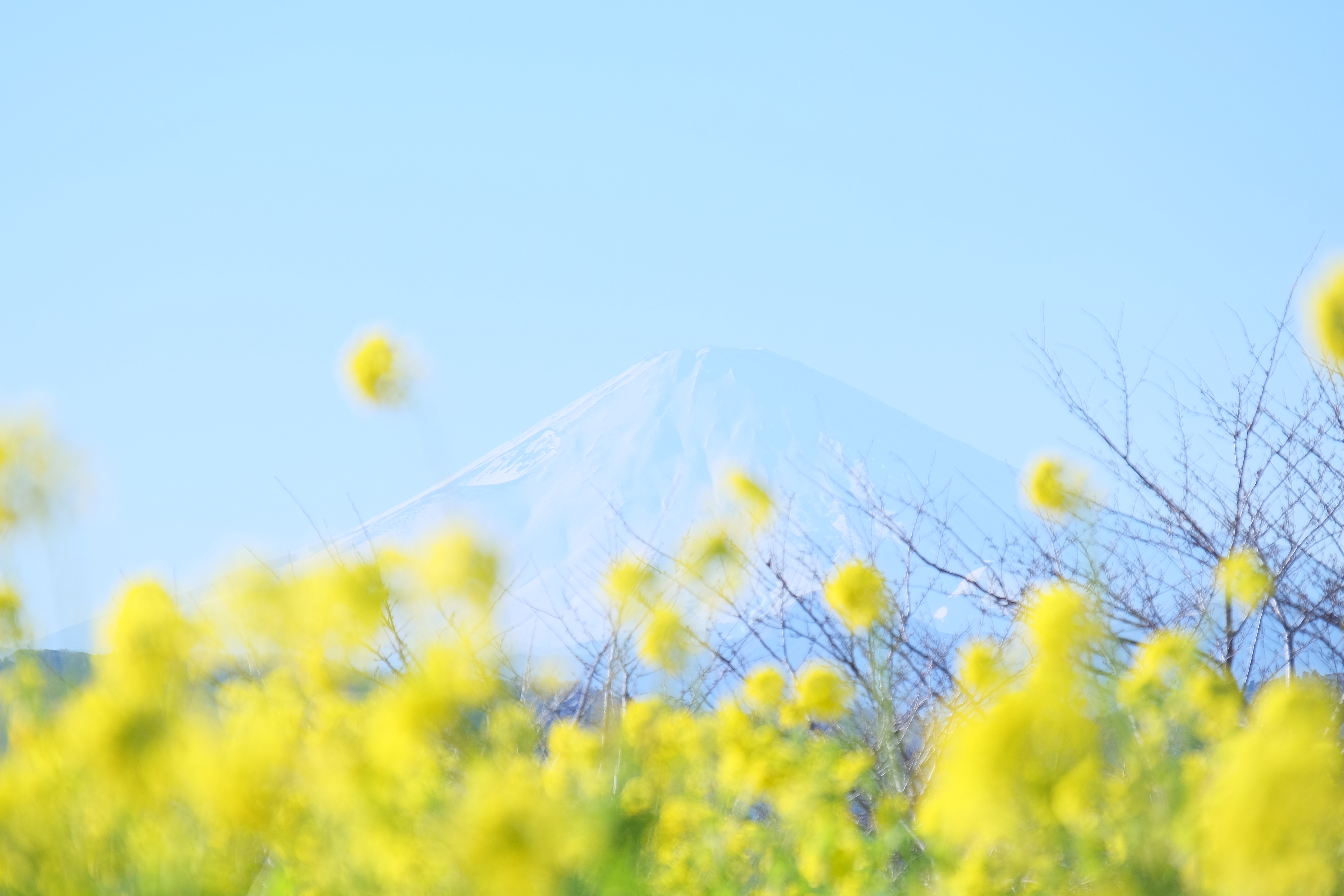 撮影：むらいさち