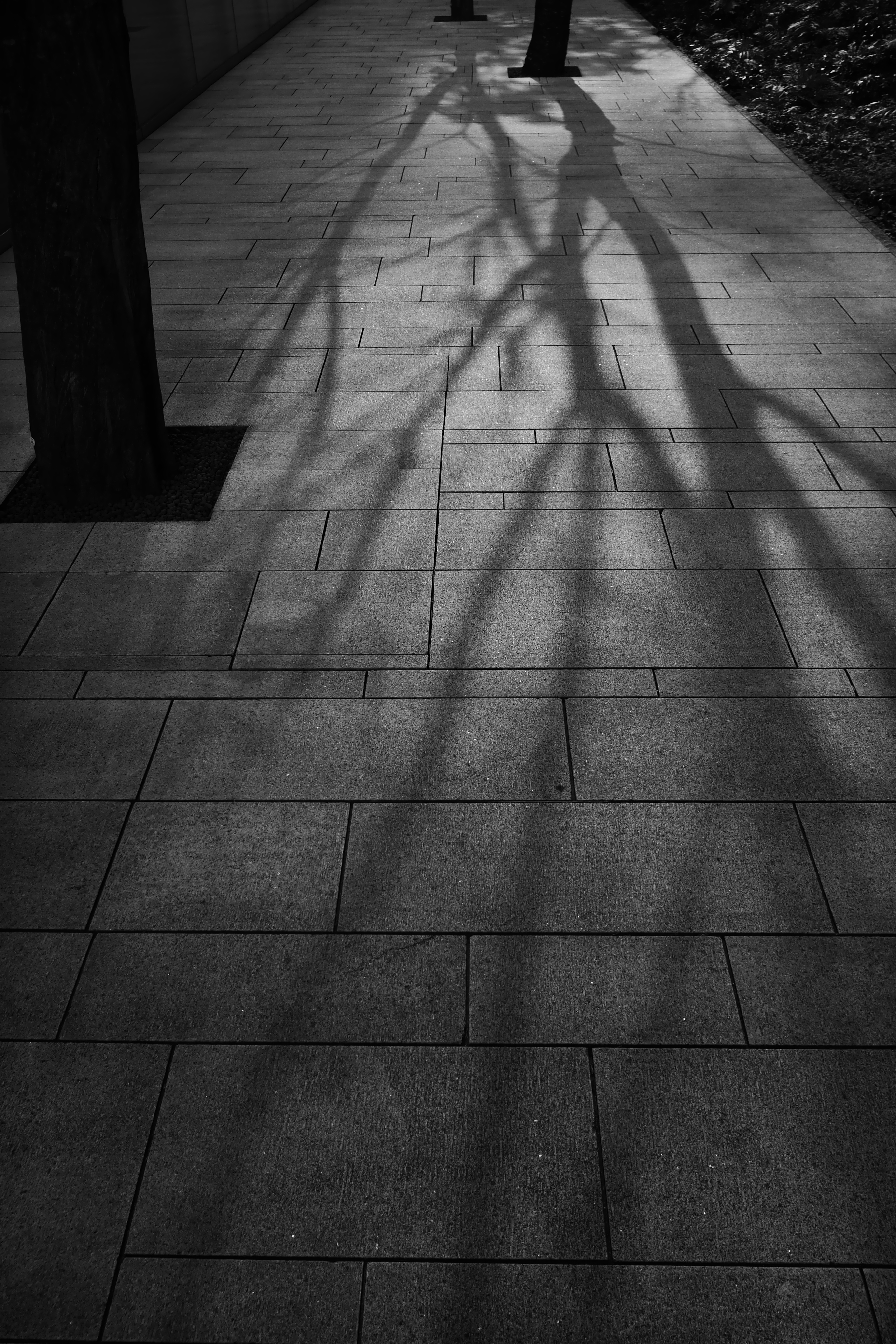 LUMIX CM1はクリエイティブコントロールで撮影時にエフェクトをかけ、LTEでの高速アップロード＆シェアも可能。LUMIX DMC-CM1 / ISO125 / F4 / 1/320秒 / -1EV