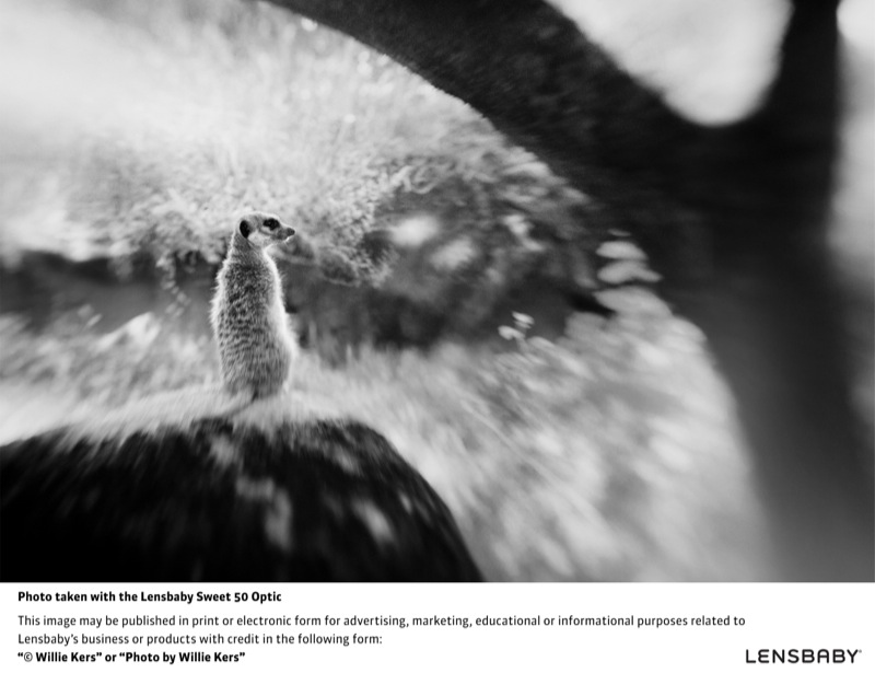 レンズベビー スウィート50オプティック作例（レンズベビー コンポーザープロ レンズベビー スウィート50に付属）　※ケンコー・トキナー提供