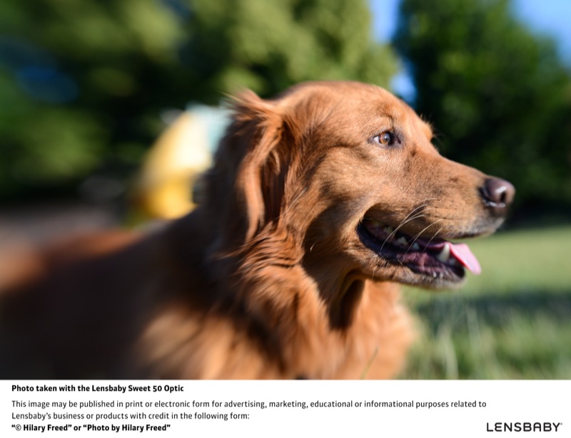 レンズベビー スウィート50オプティック作例（レンズベビー コンポーザープロ レンズベビー スウィート50に付属）　※ケンコー・トキナー提供