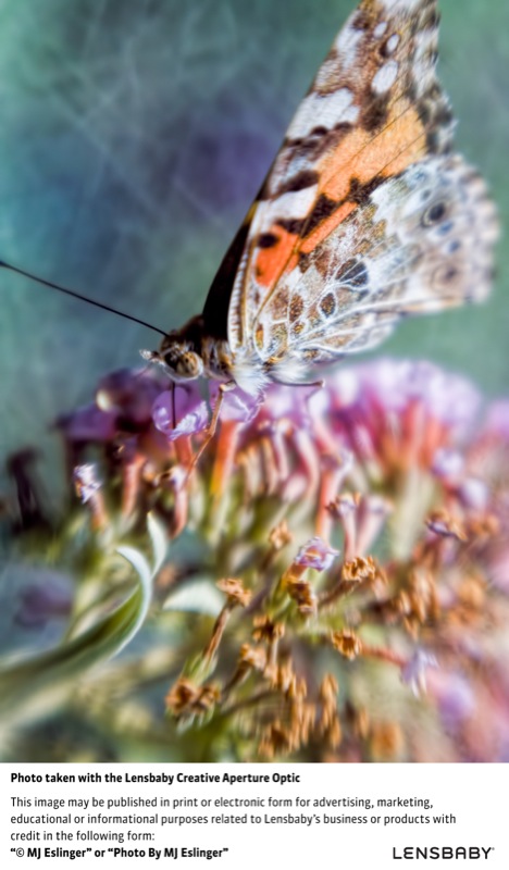 レンズベビー クリエイティブアパーチャー オプティック作例　※ケンコー・トキナー提供