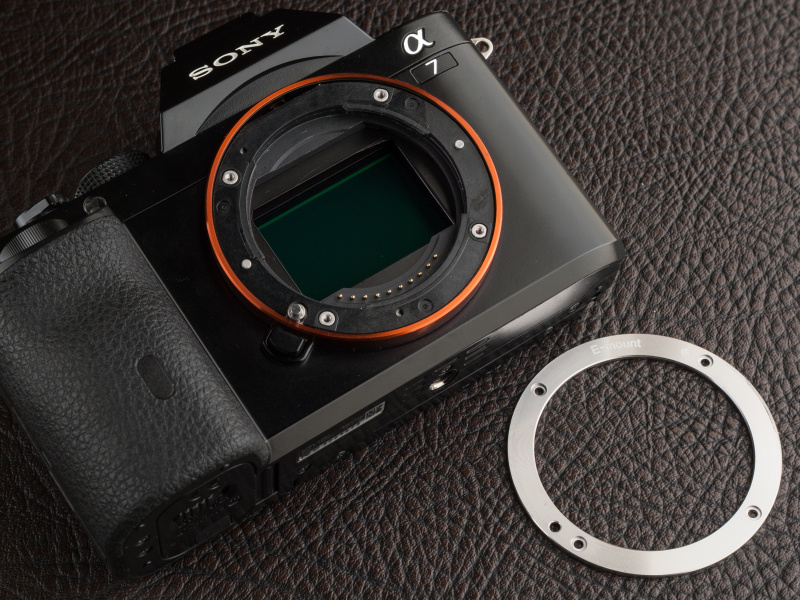 マウントのネジを緩め、金属プレートを取り外す。さらに樹脂プレートも取り外しておく