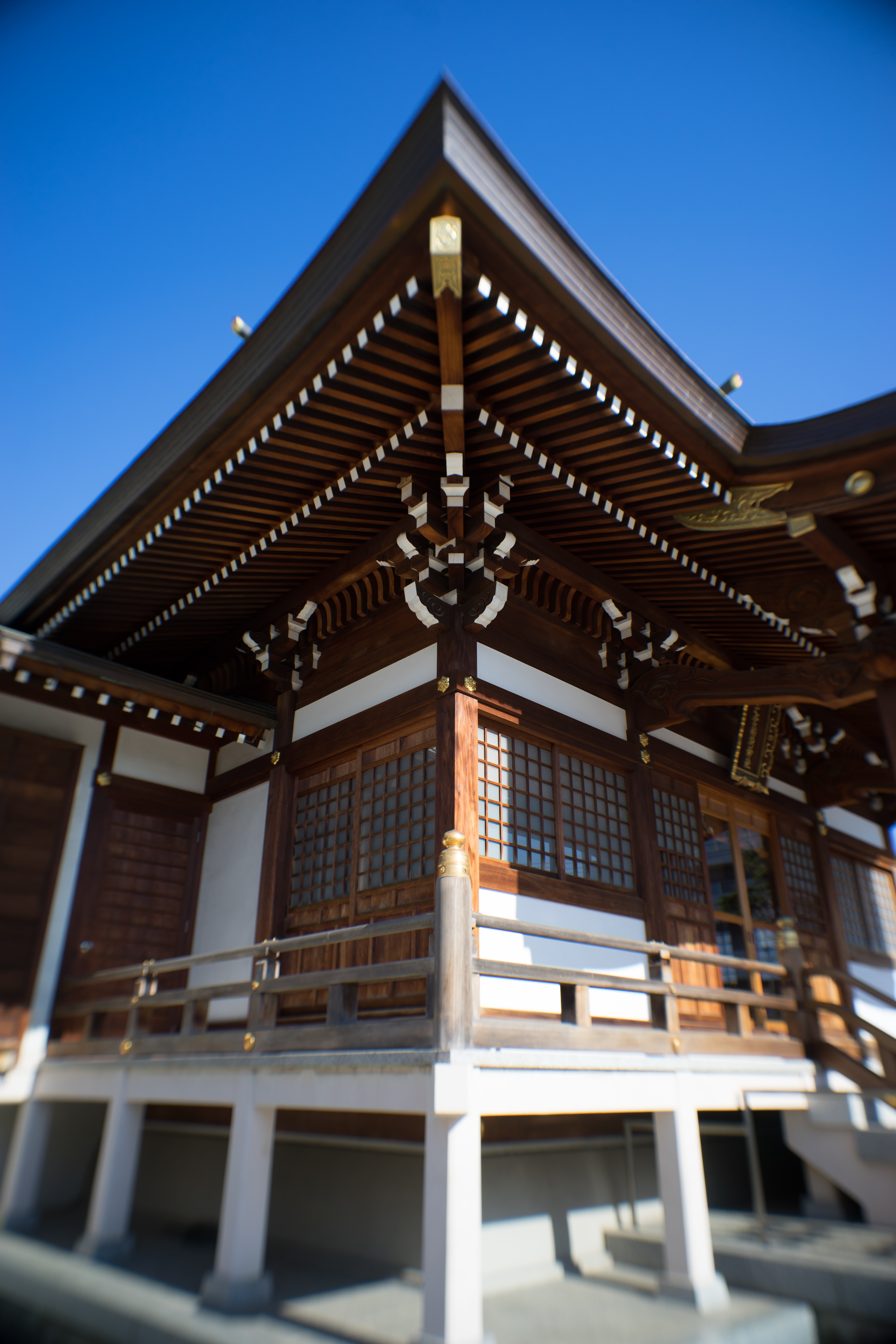 α7 / UW-Nikkor 20mm F2.8 / 1/400秒 / F5.6 / ±0EV / ISO100 / WB:オート