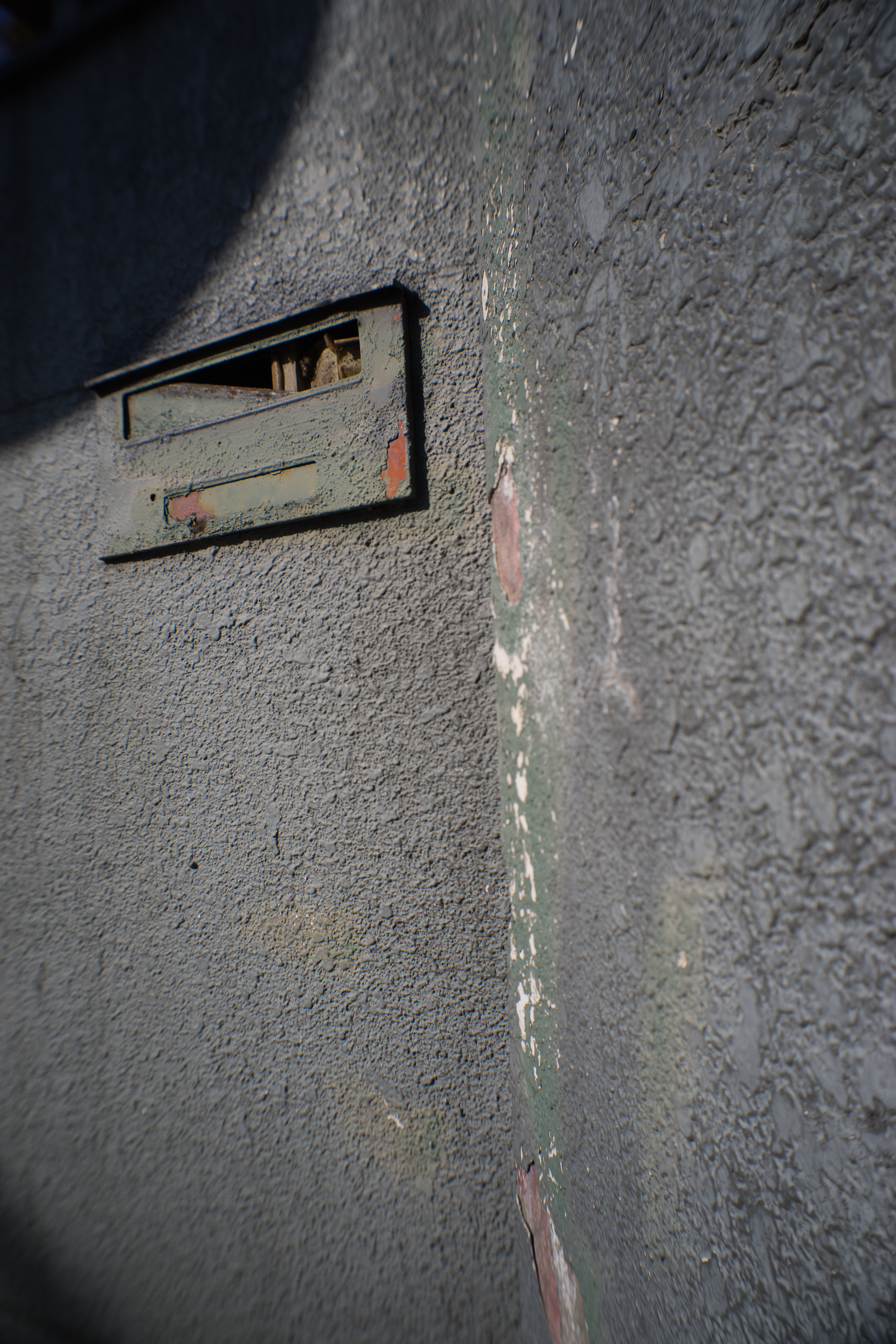 α7 / UW-Nikkor 20mm F2.8 / 1/1,000秒 / F8 / ±0EV / ISO100 / WB:オート