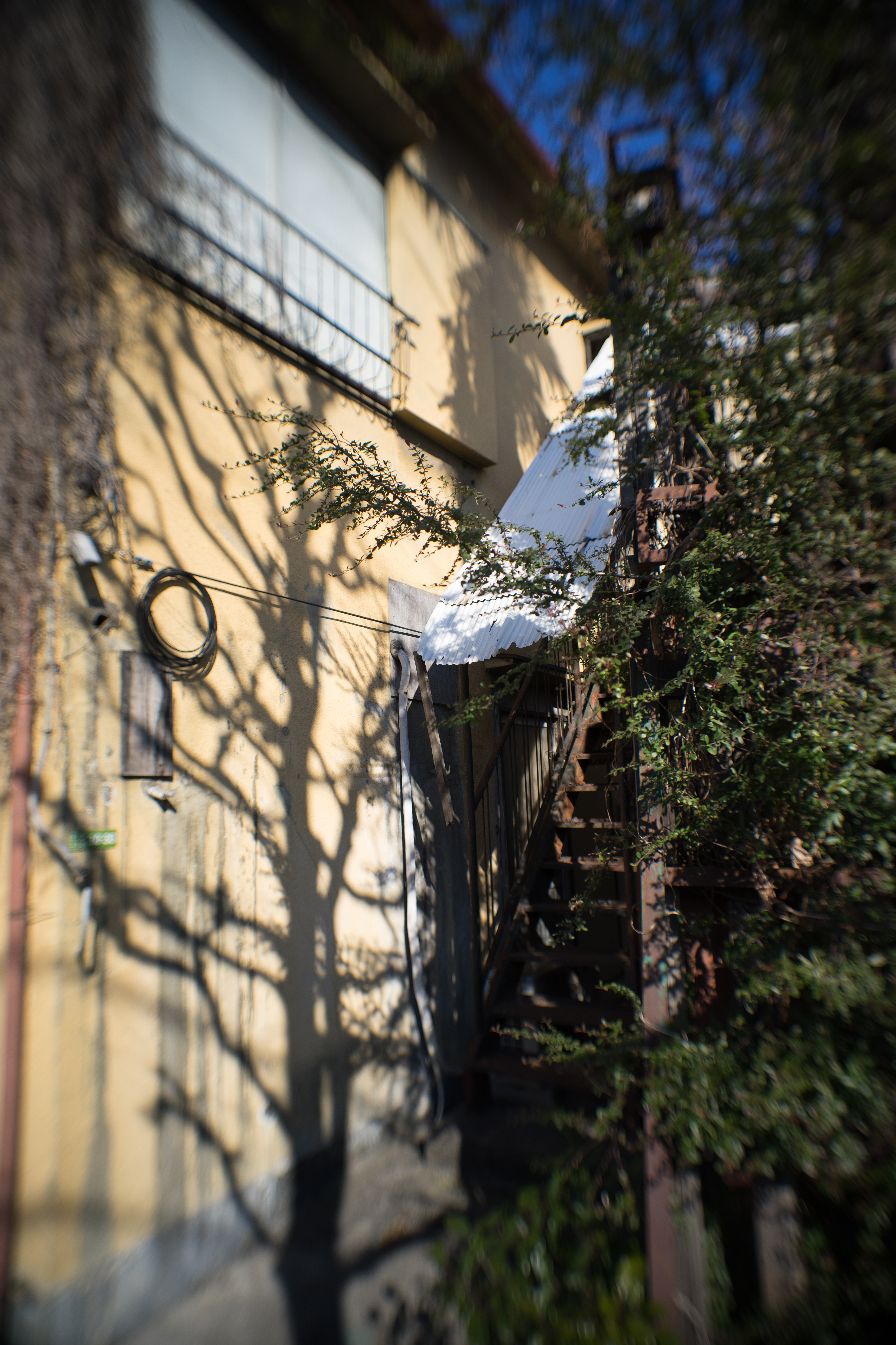 α7 / UW-Nikkor 20mm F2.8 / 1/1,600秒 / F2.8 / ±0EV / ISO100 / WB:オート