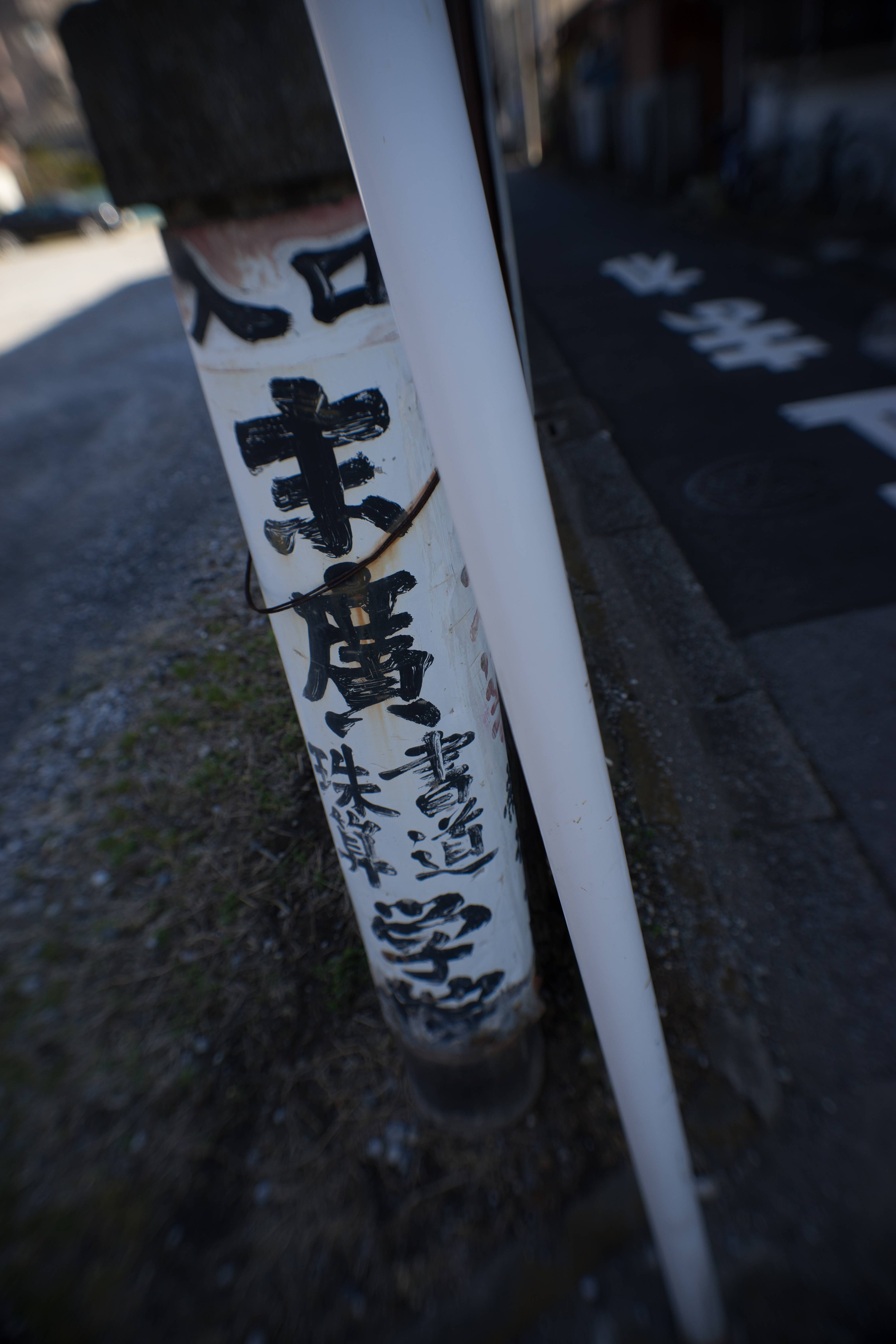 α7 / UW-Nikkor 20mm F2.8 / 1/500秒 / F4 / -0.7EV / ISO100 / WB:オート