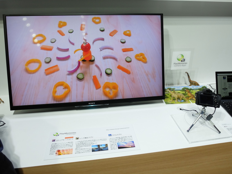 テレビにサンプル映像を映していた