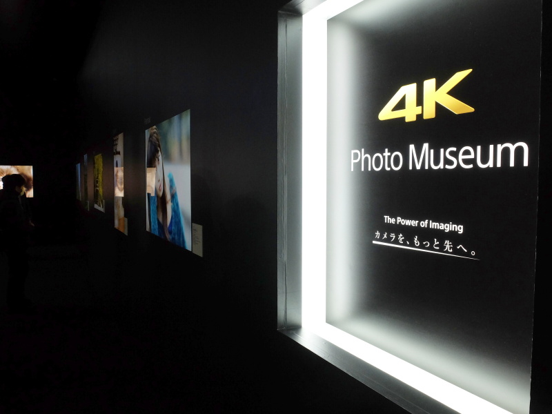 「4K Photo Museum」では、αシリーズで写真家が撮影した作品を4Kテレビを使って展示していた