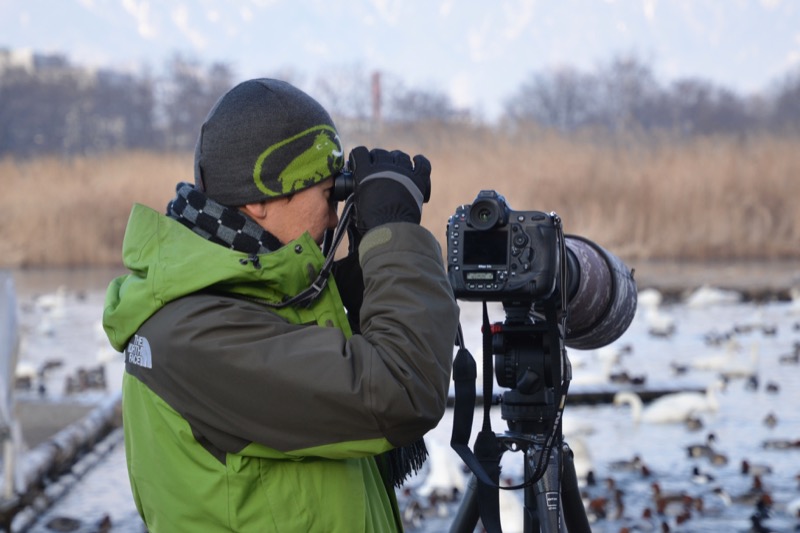まずは双眼鏡やスポッティングスコープで鳥を観察する