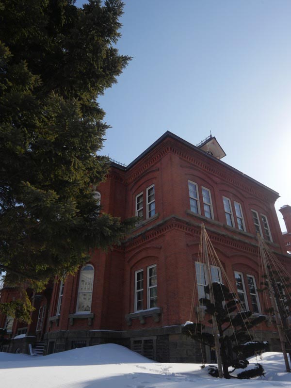 フレックスレンズフードなしで撮影。