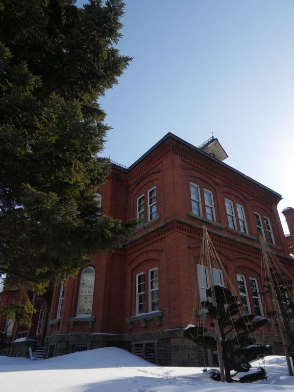 フレックスレンズシェードを使用して撮影。有害光線をカットすることで、フレアを抑えることができ、すっきりクリアに仕上がった。