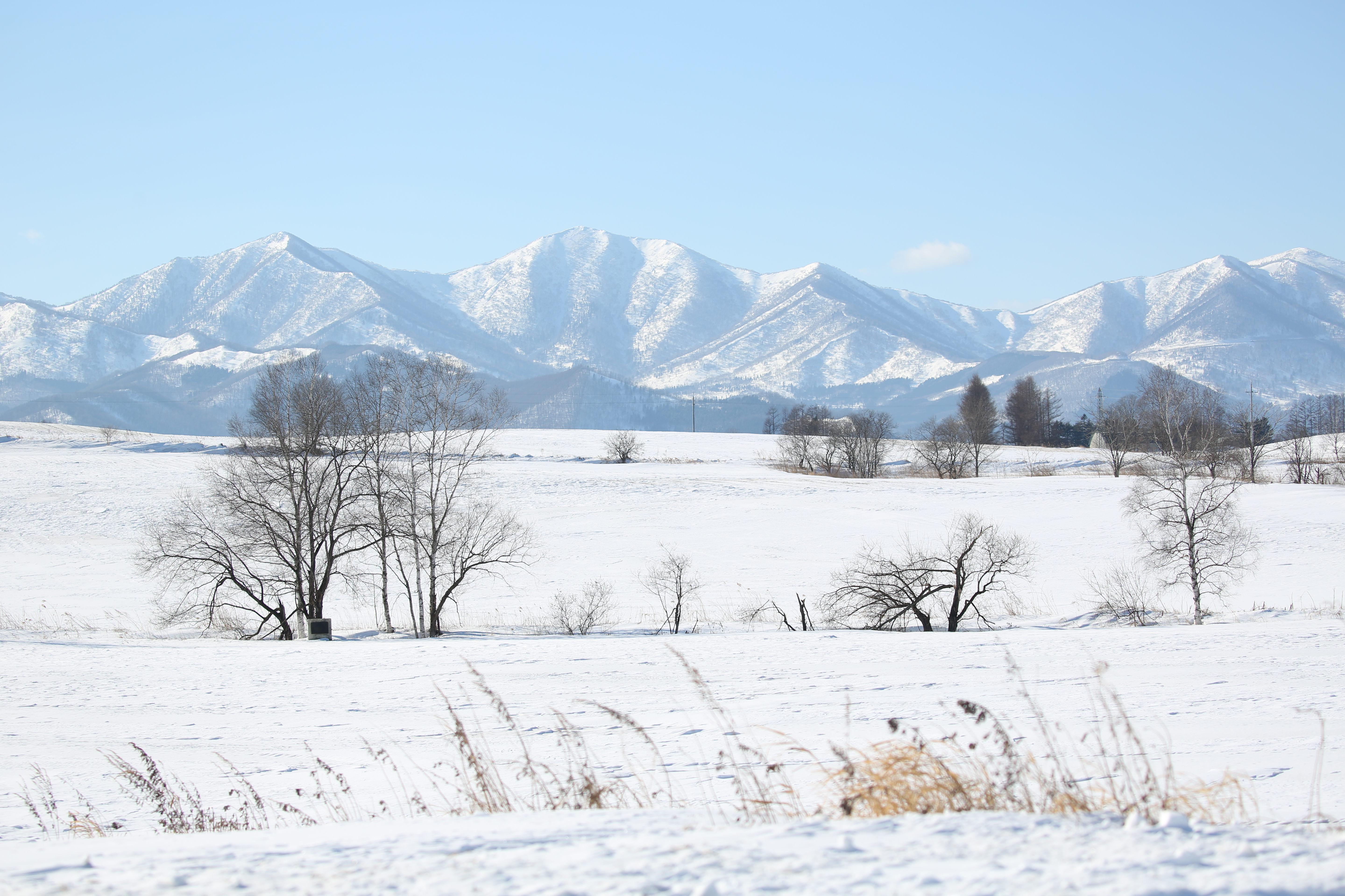 絞りF5.6・距離数mで撮影。EOS 5D Mark III / 1/640秒 / F5.6 / +1.3EV / ISO100 / 絞り優先AE / 100mm