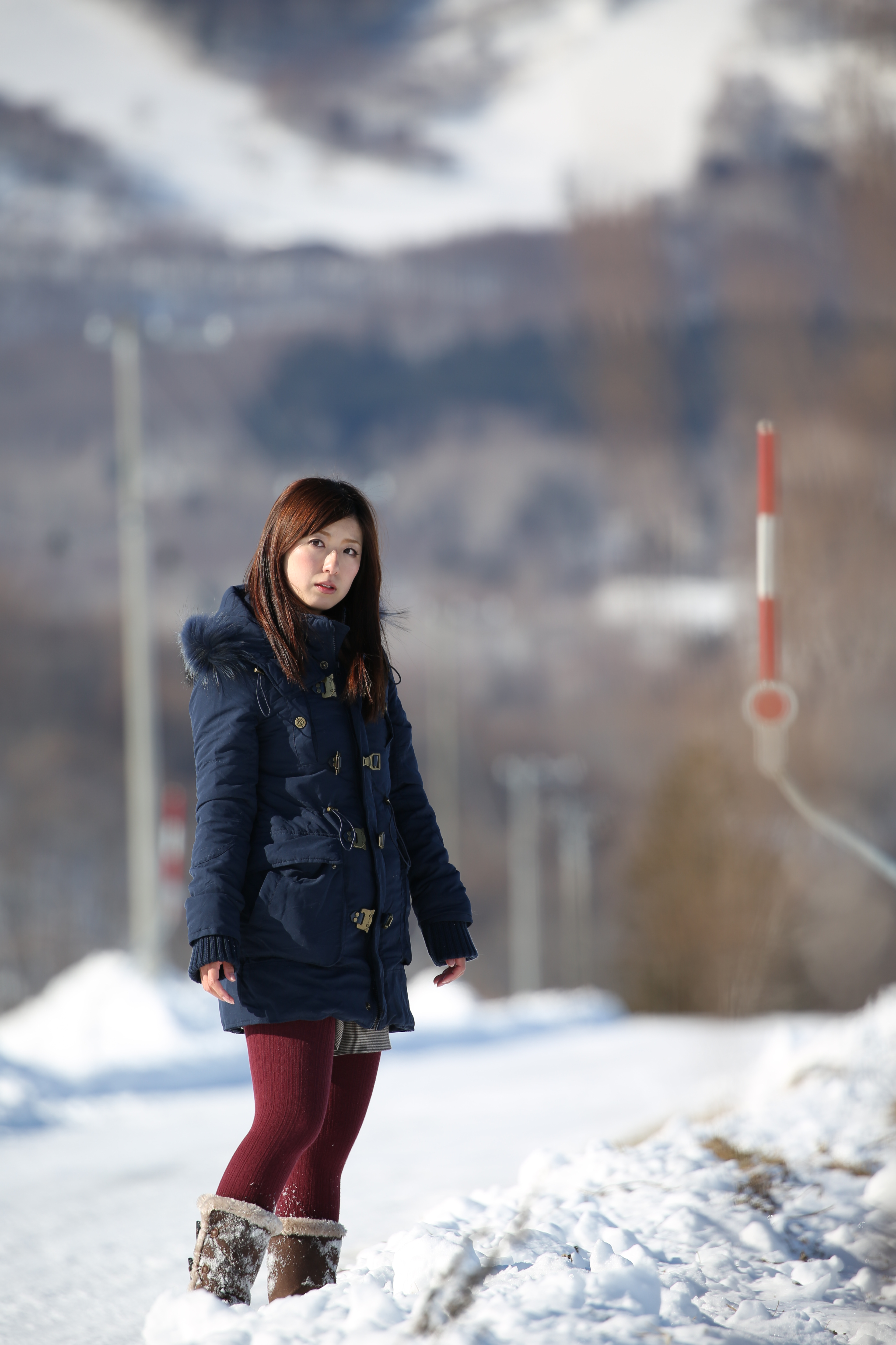 絞り開放・距離数mで撮影。EOS 5D Mark III / 1/500秒 / F5.6 / +0.3EV / ISO100 / 絞り優先AE / 400mm