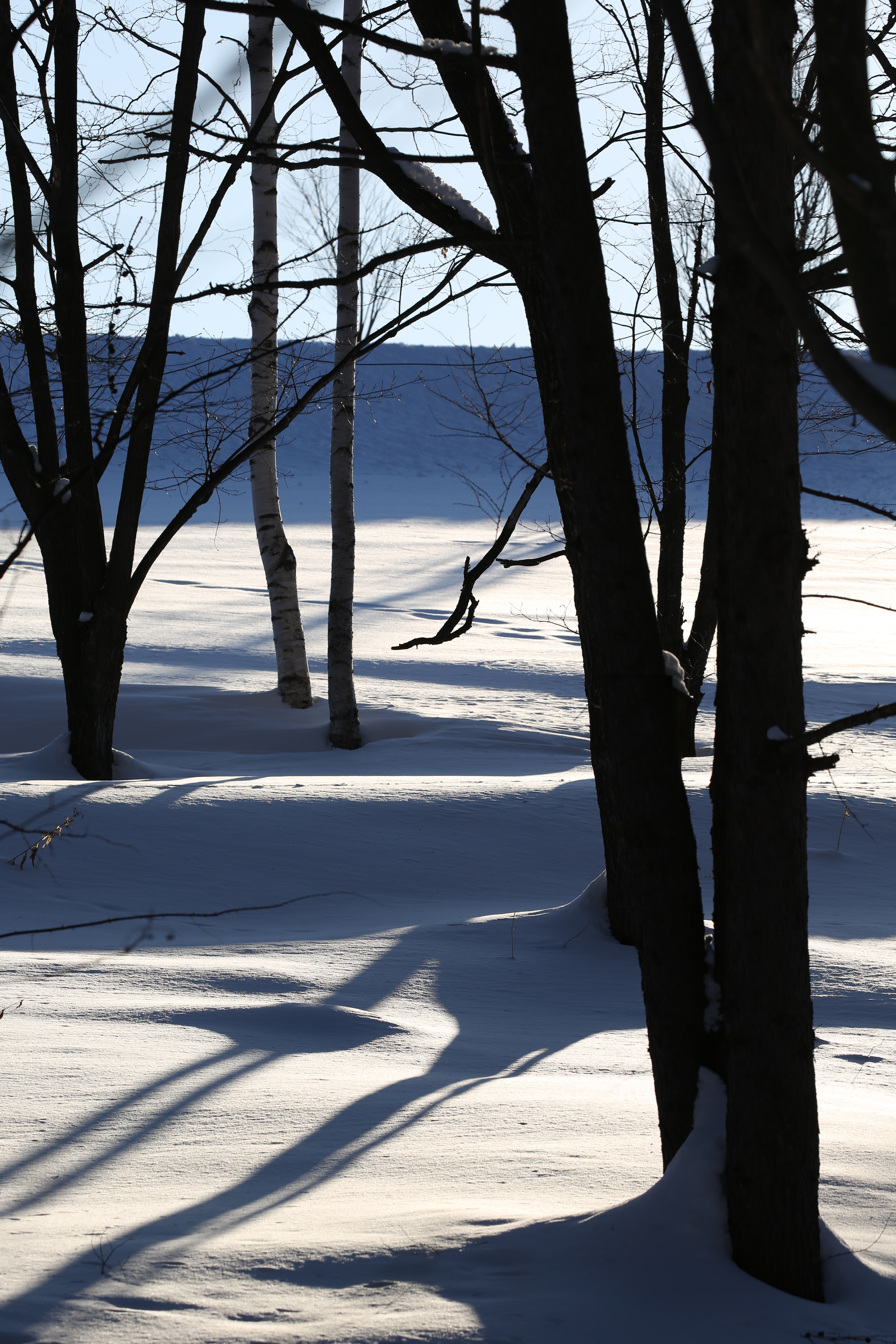 EOS 5D Mark III / 1/500秒 / F8 / 0EV / ISO100 / マニュアル露出 / 200mm