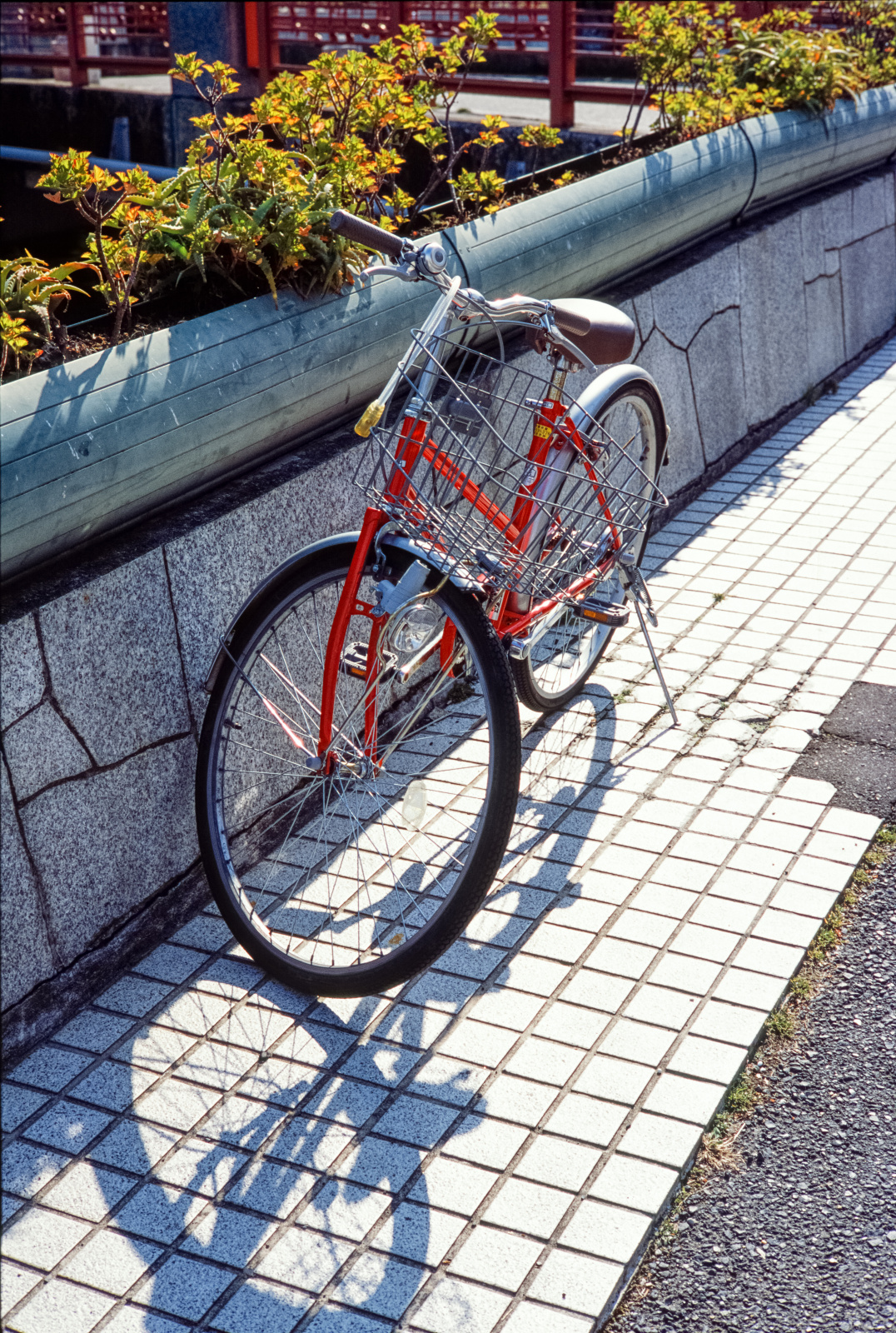 F5.6半 / 1/250秒 / フジクロームプロビア100F