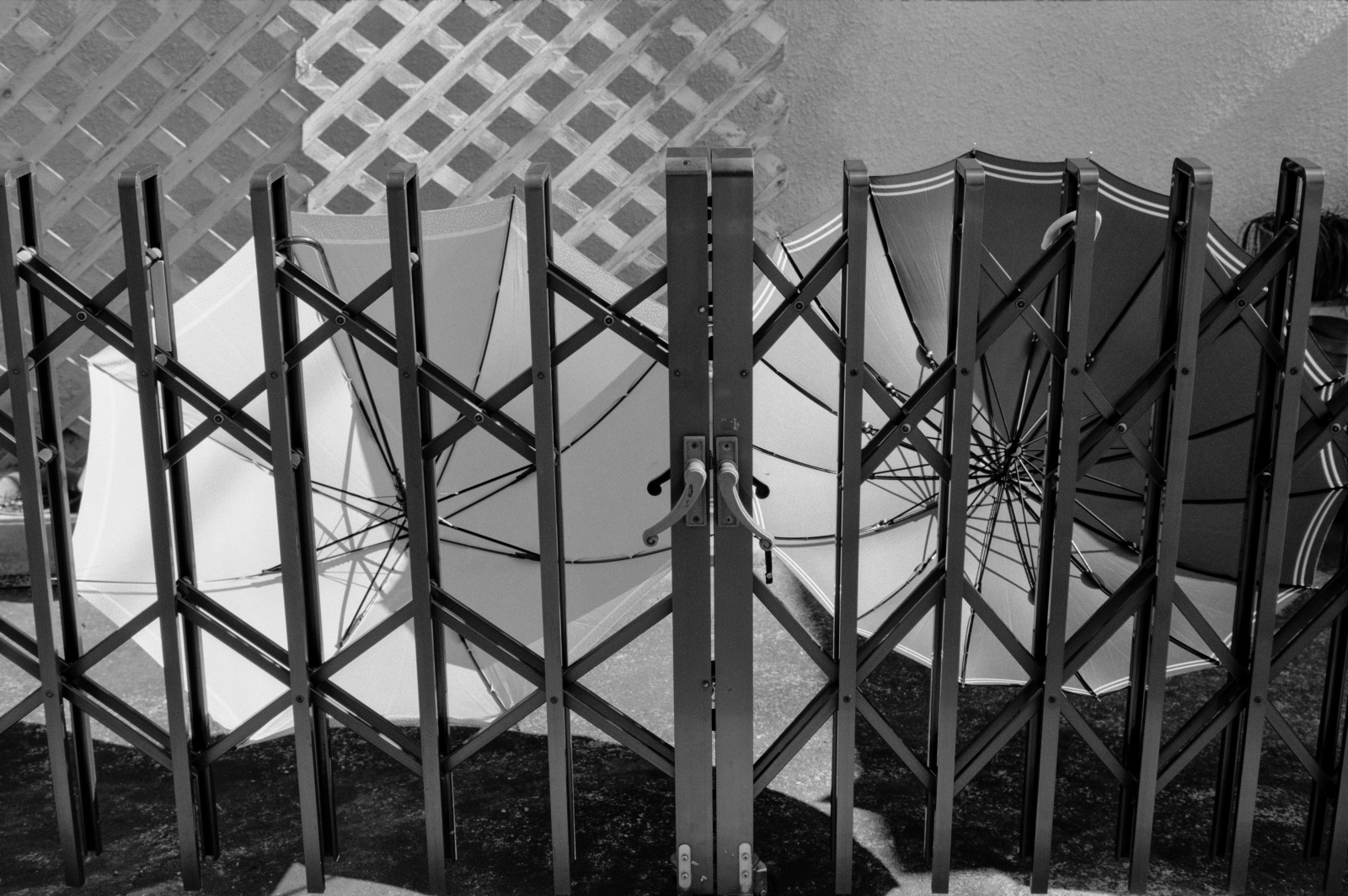 F8 / 1/125秒 / ネオパン100アクロス