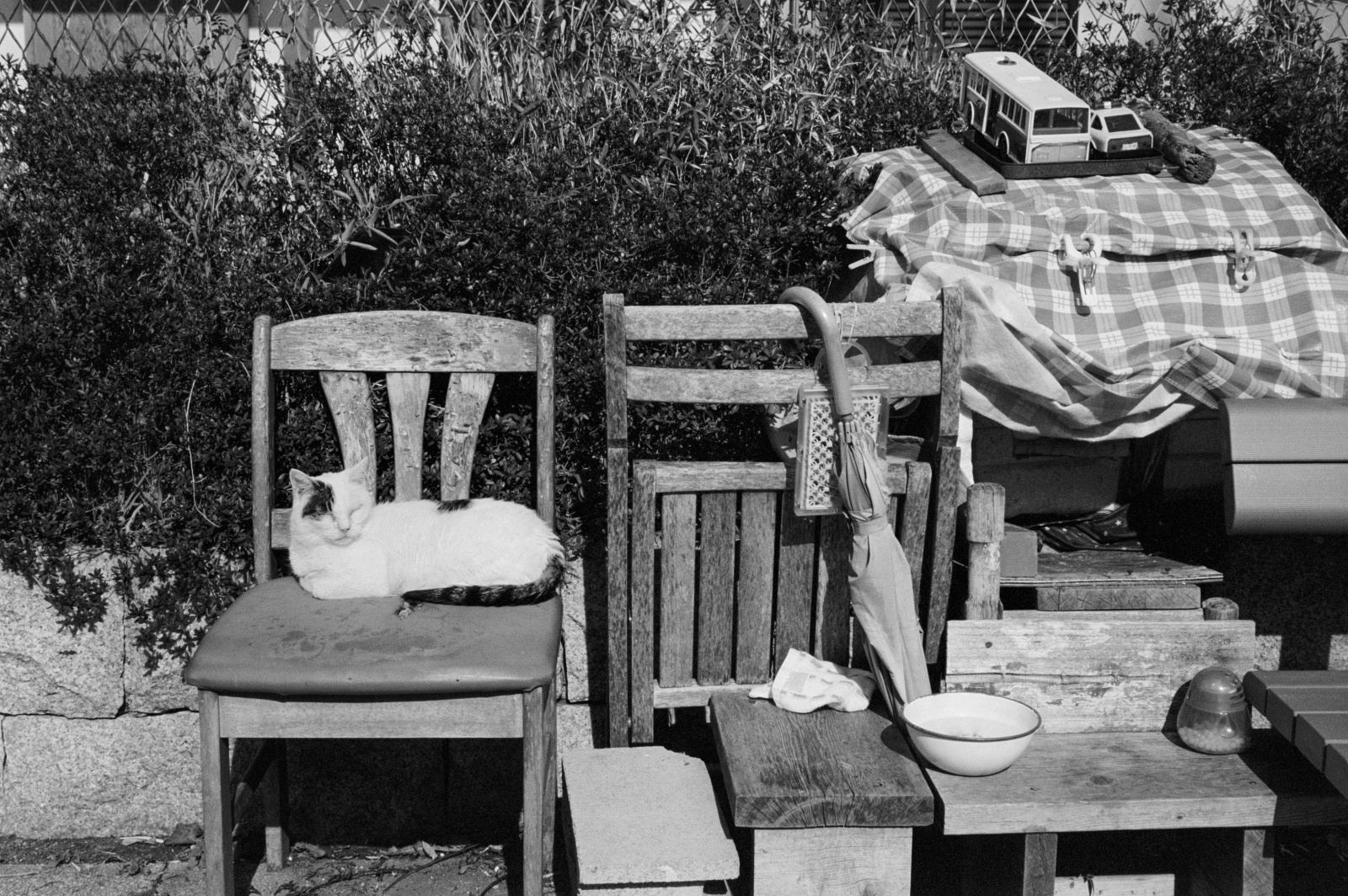 F11 / 1/500秒 / トライX