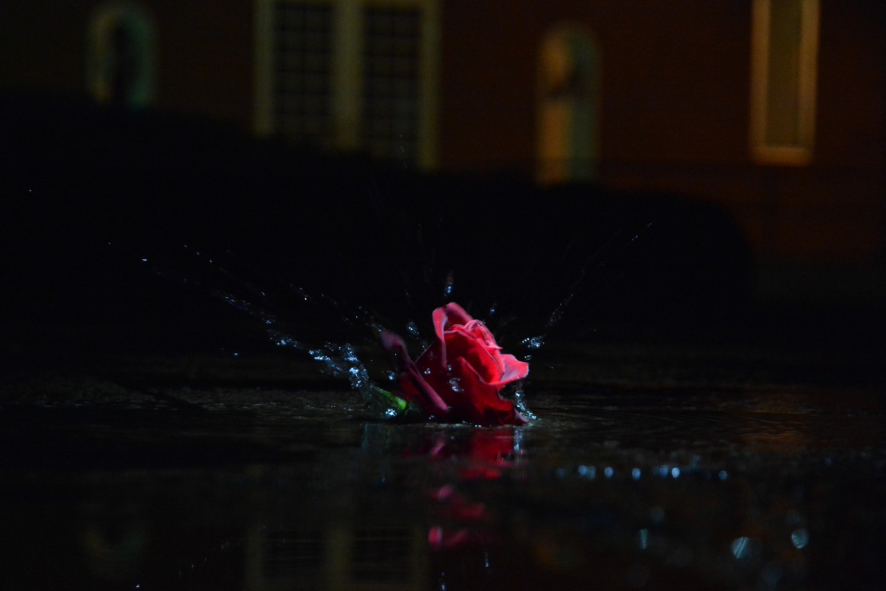 受賞作「少女の願い」は、被写体を造形的に切り取ることで少女の内面を抽象的に表現したカラー3点