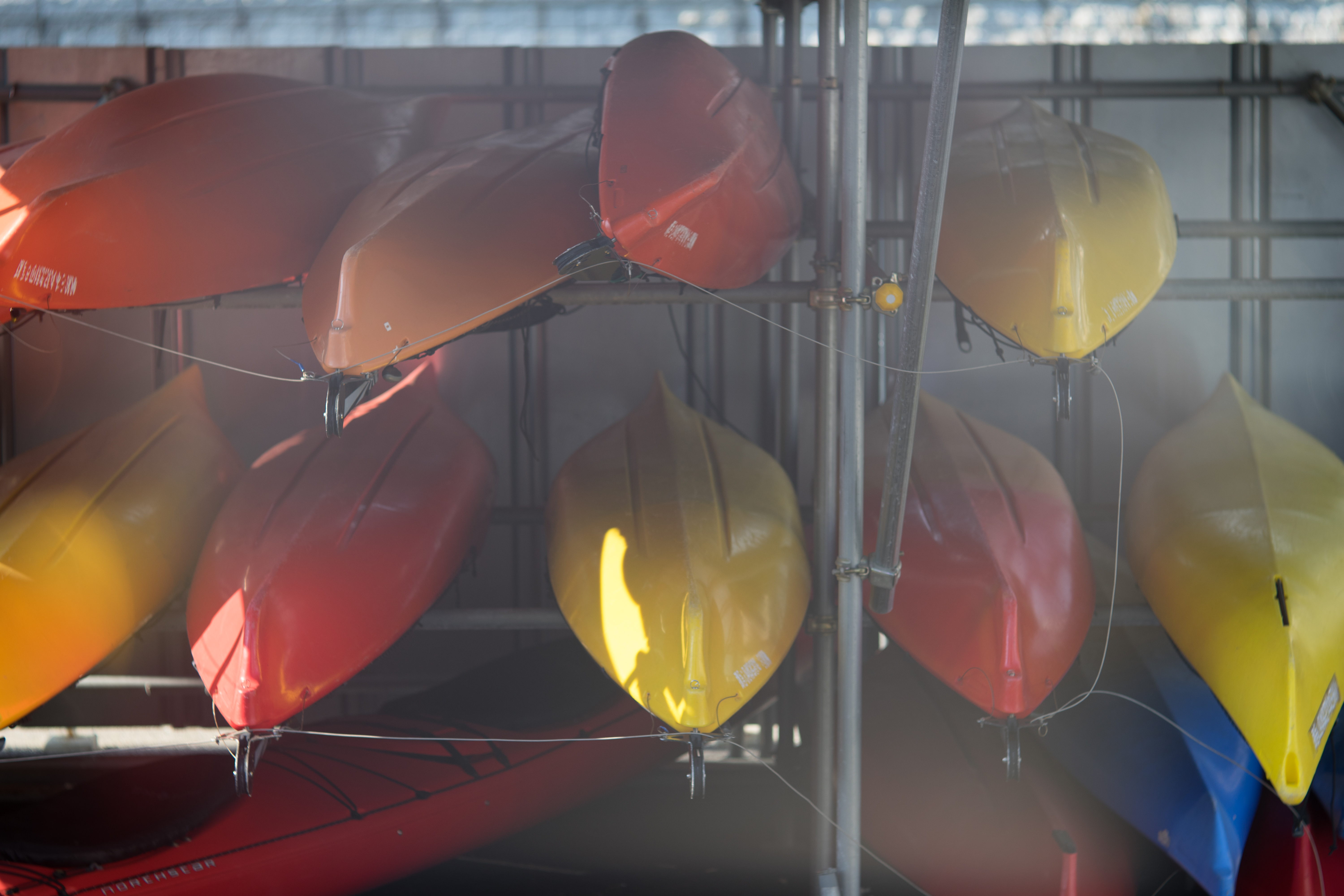 α7 II / Hektor 12.5cm F2.5 / 1/250秒 / F4 / ±0EV / ISO100 / WB:オート