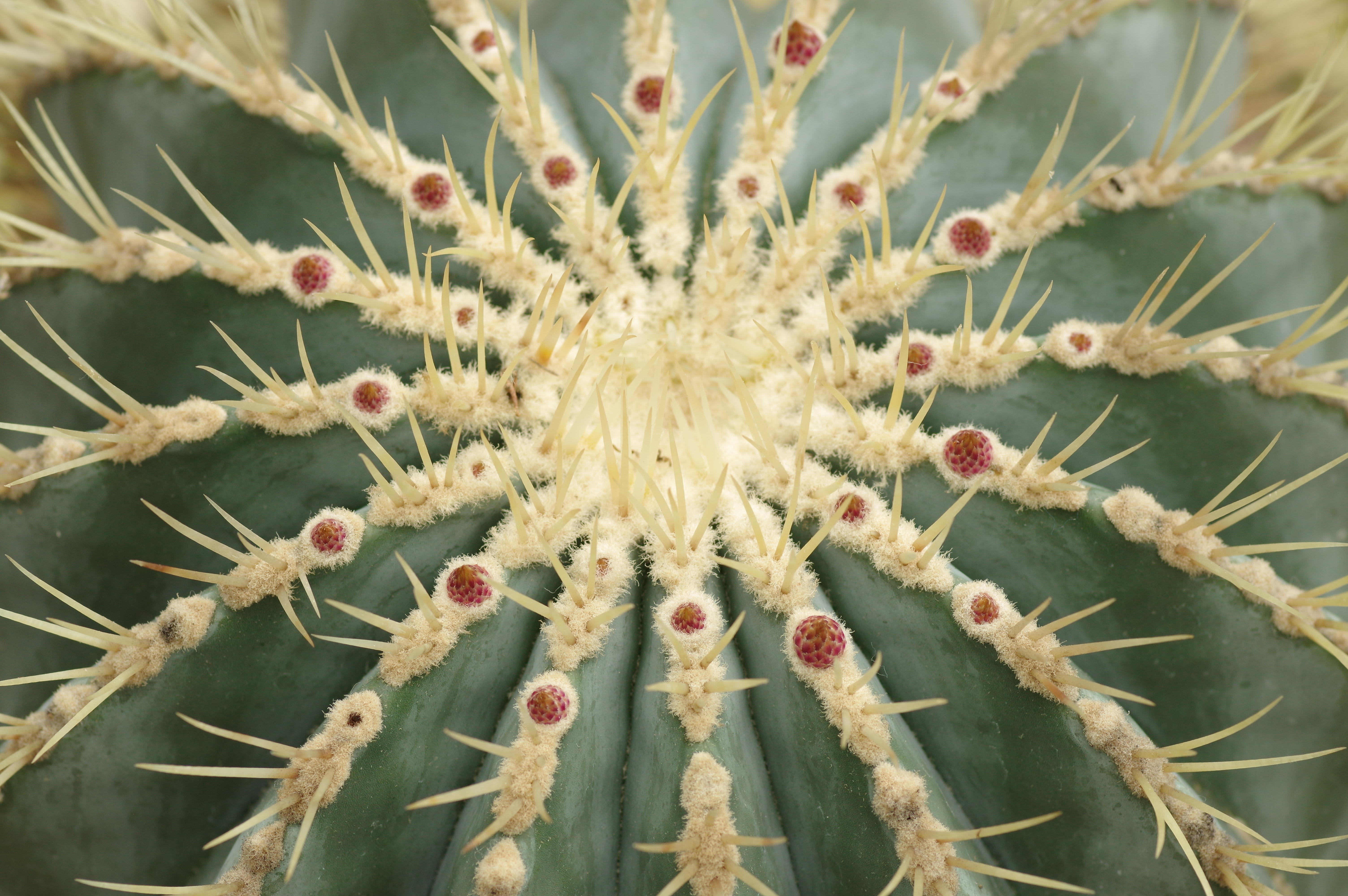 1/60秒 / F5.6 / ISO400 / 絞り優先AE / 100mm