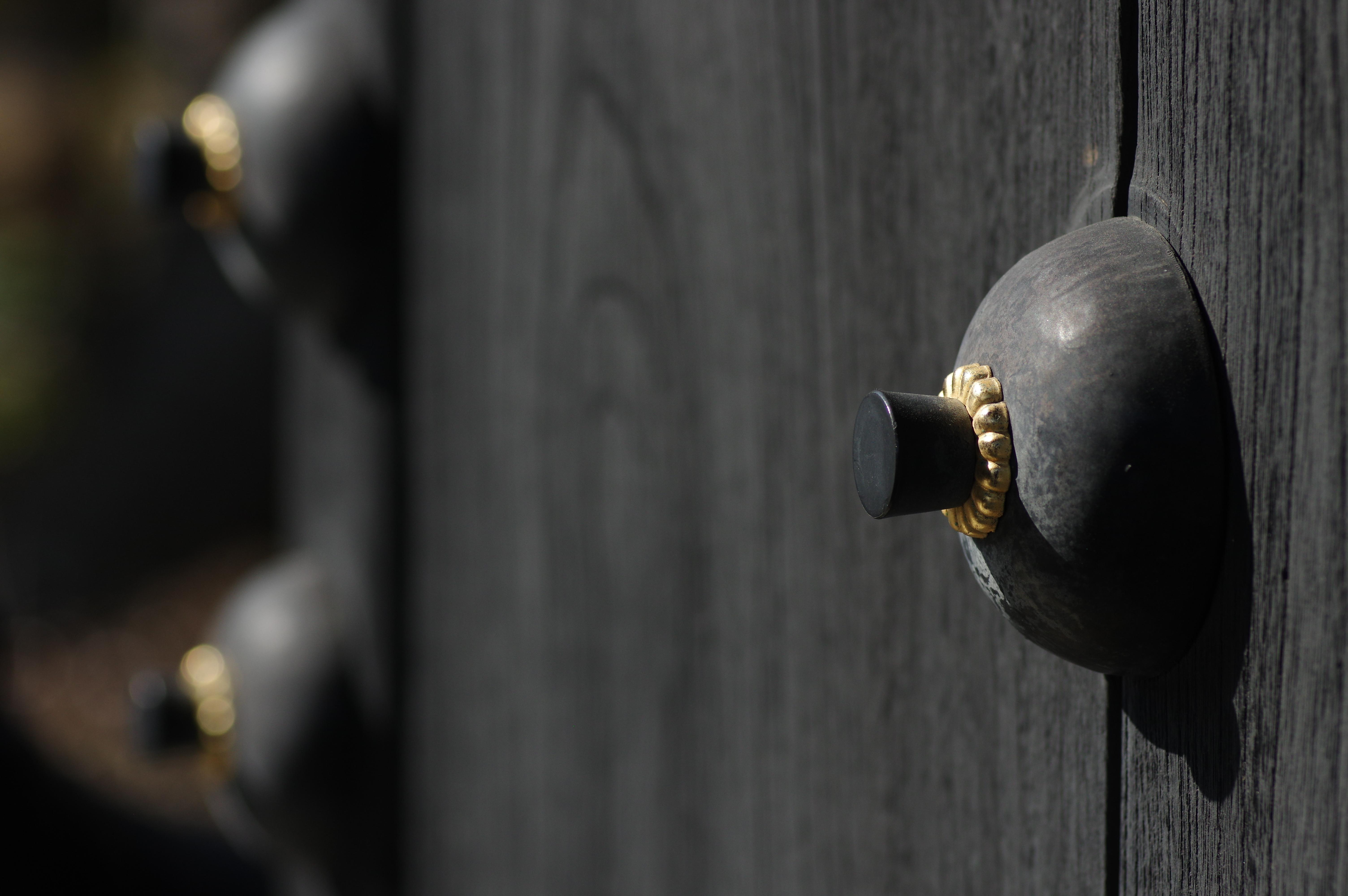 1/2,000秒 / F4.5 / ISO400 / 絞り優先AE / 100mm