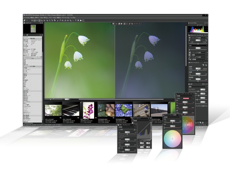 SILKYPIX Developer Studio Pro 6