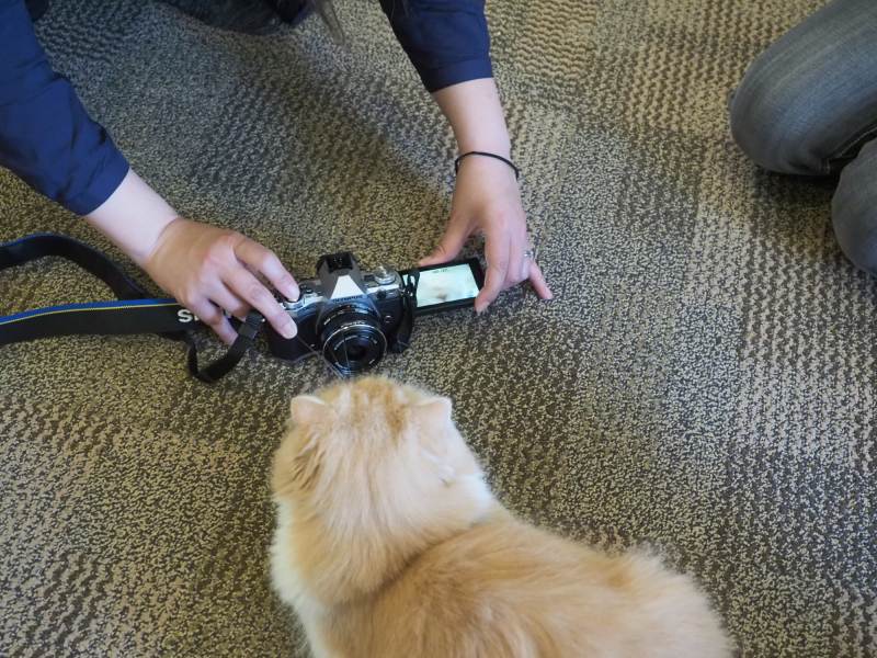 金森先生のカメラはバリアングル液晶が採用された最新カメラOM-D E-M5 Mark II。