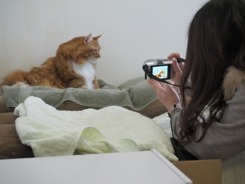 入店からずっとお気に入りの場所から動かなかったジャンくん。ずっと静かに座っていたので、たくさんの参加者から撮られていました。