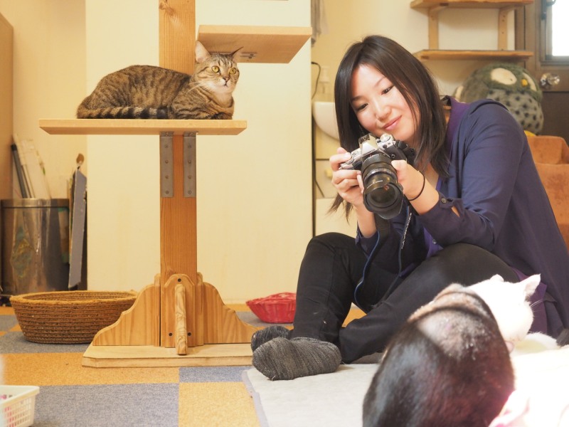 猫を撮るとき、すごく幸せそうな金森先生。