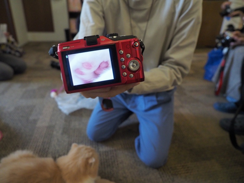 参加者の作品をスタッフの方が回して見せてくれます。短時間にもかかわらず、かわいい写真がたくさん撮れたようでした。