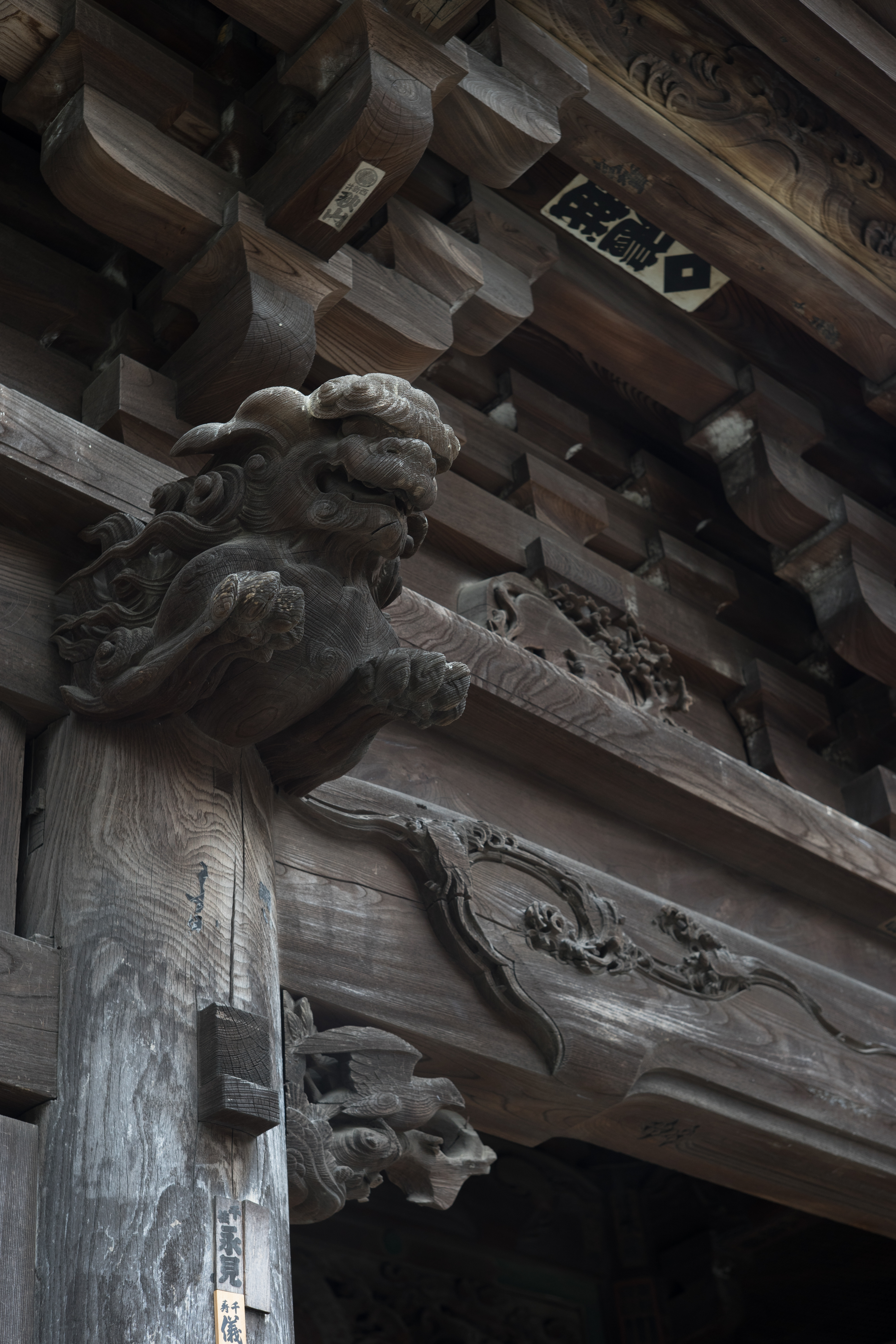 α7 II / Helios-103 53mm F1.8 / 1/60秒 / F5.6 / -1.3EV / ISO250 / WB:オート