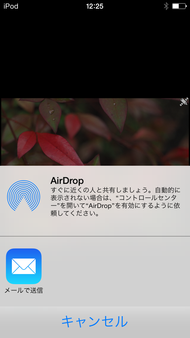 撮影データの共有例