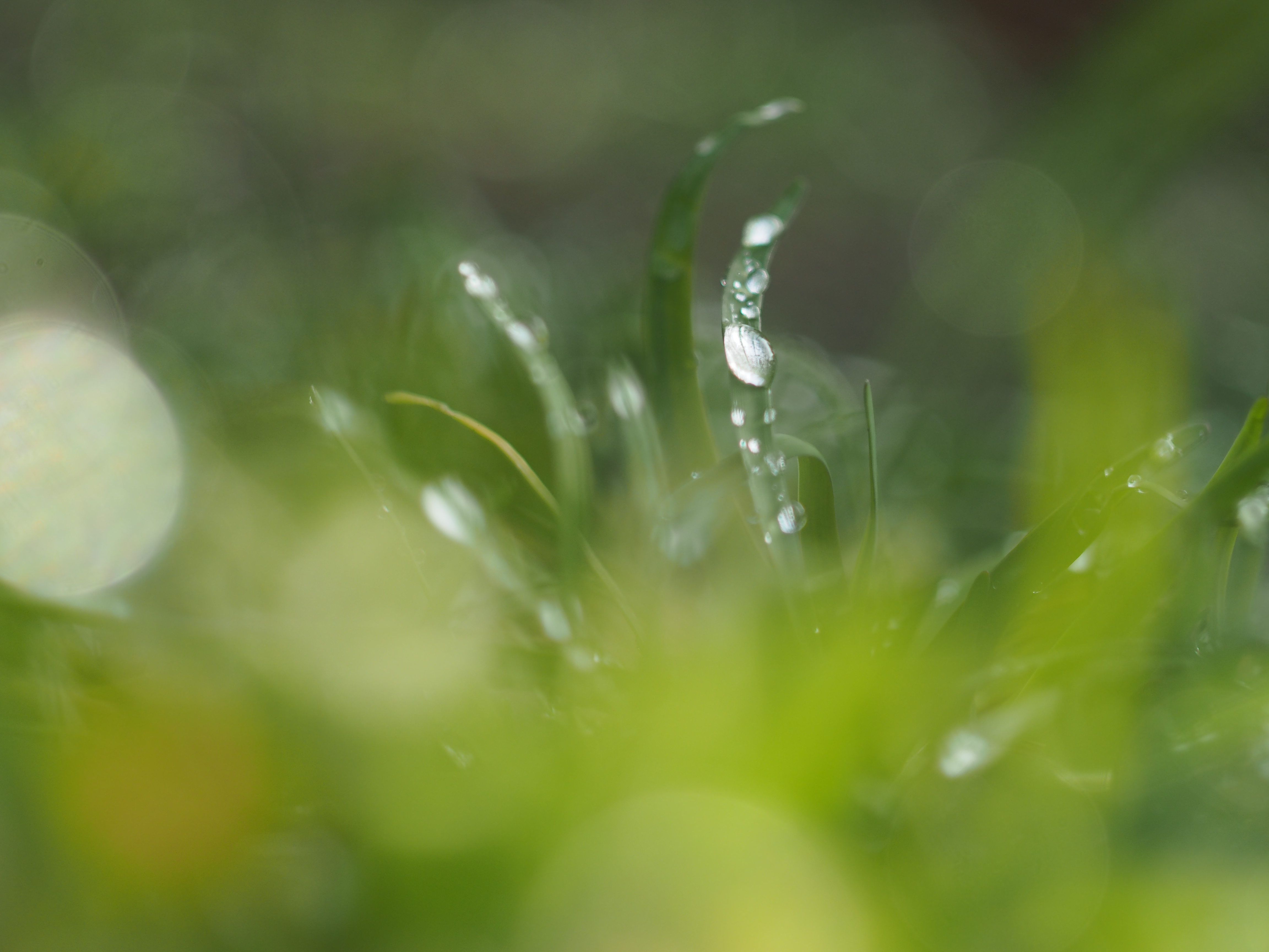 F2／1/1,000／ISO200