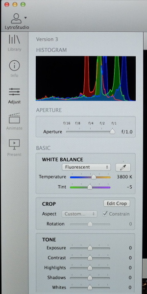 見慣れた編集項目の中に、Lytro独自のパラメーターが加わっている