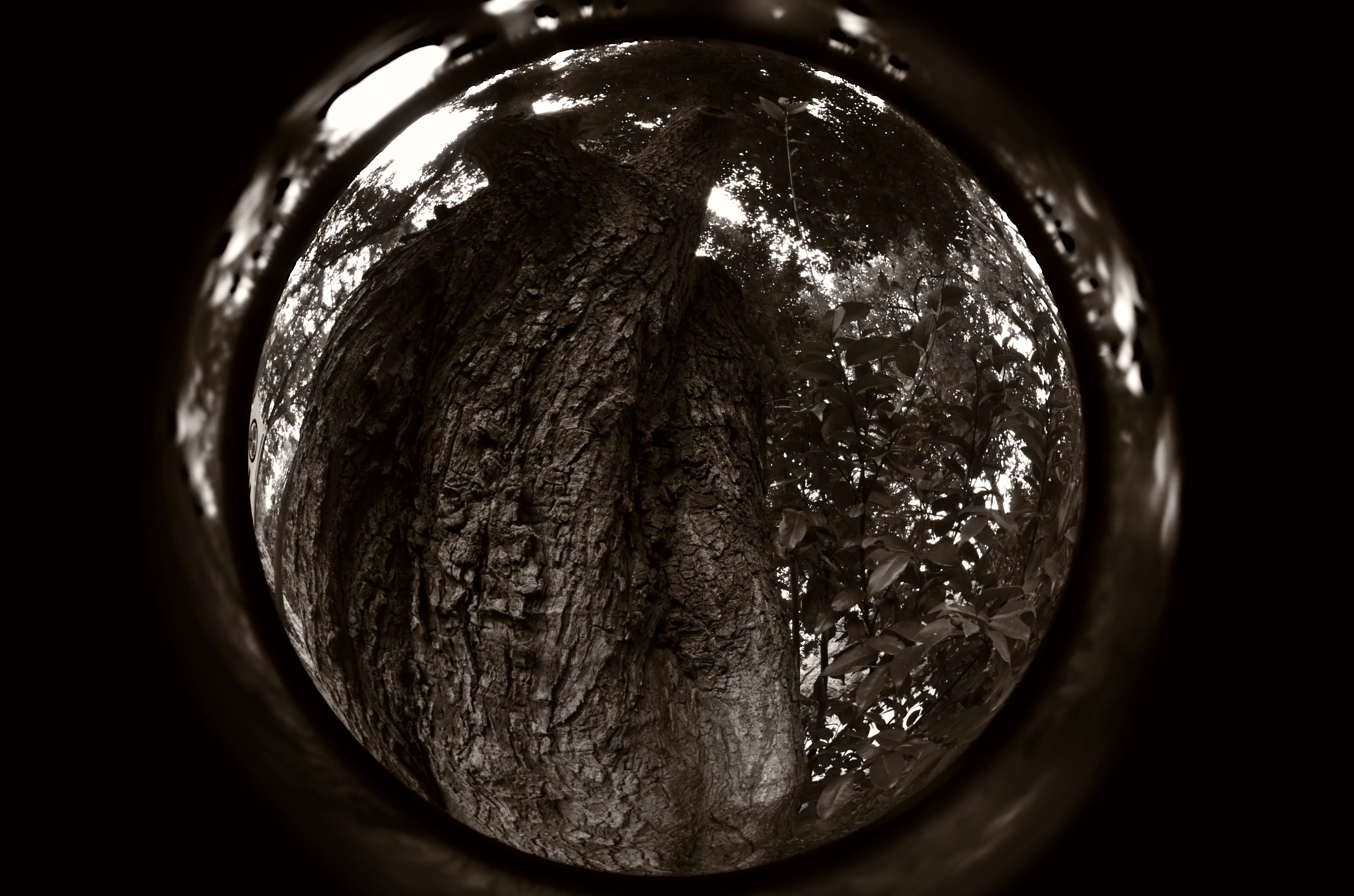 いっそのこと絵作り設定を変えてセピアにしてみた