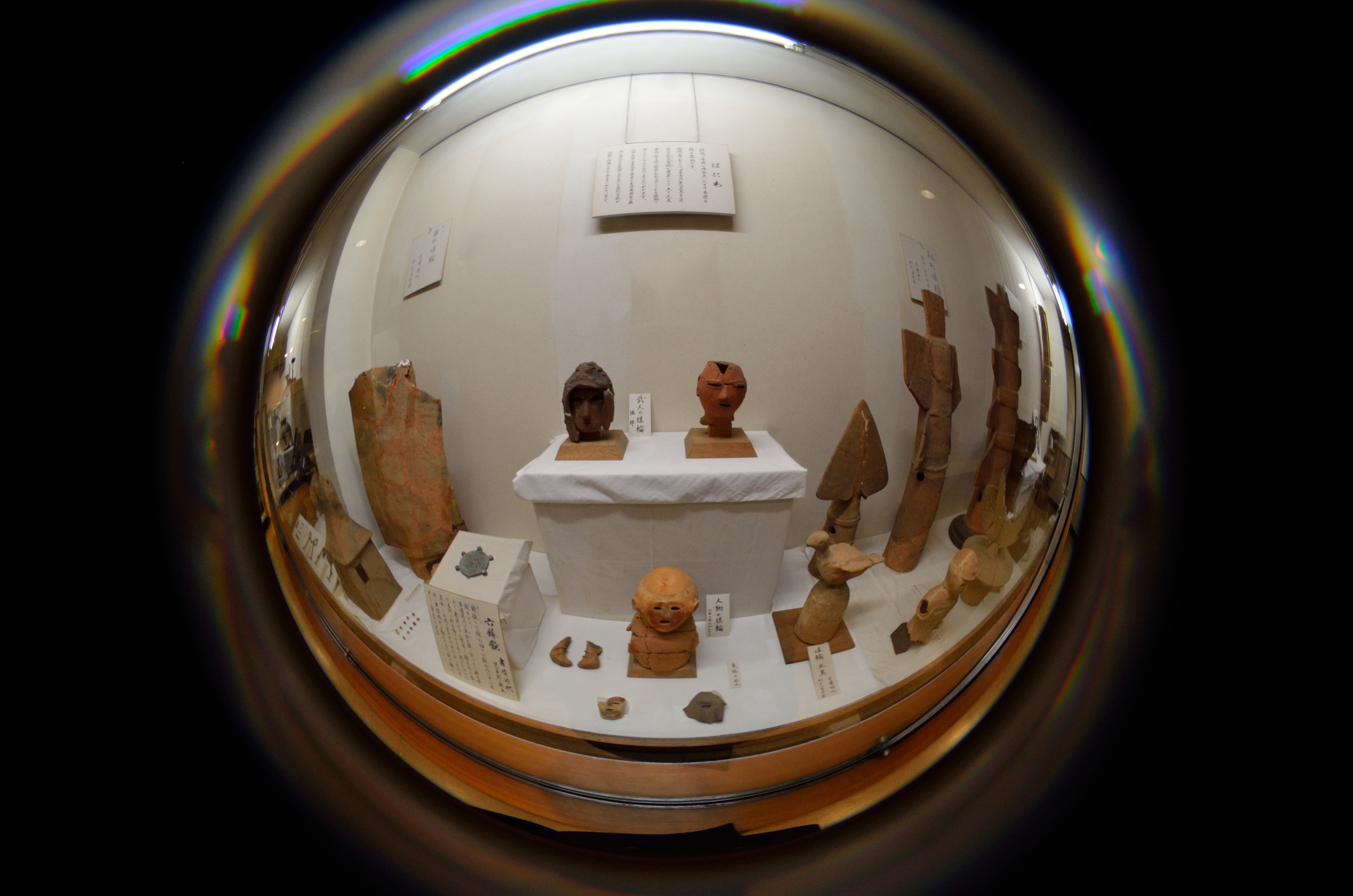 被写体はデフォルメされてしまうが、狭い場所で撮影するとおもしろい