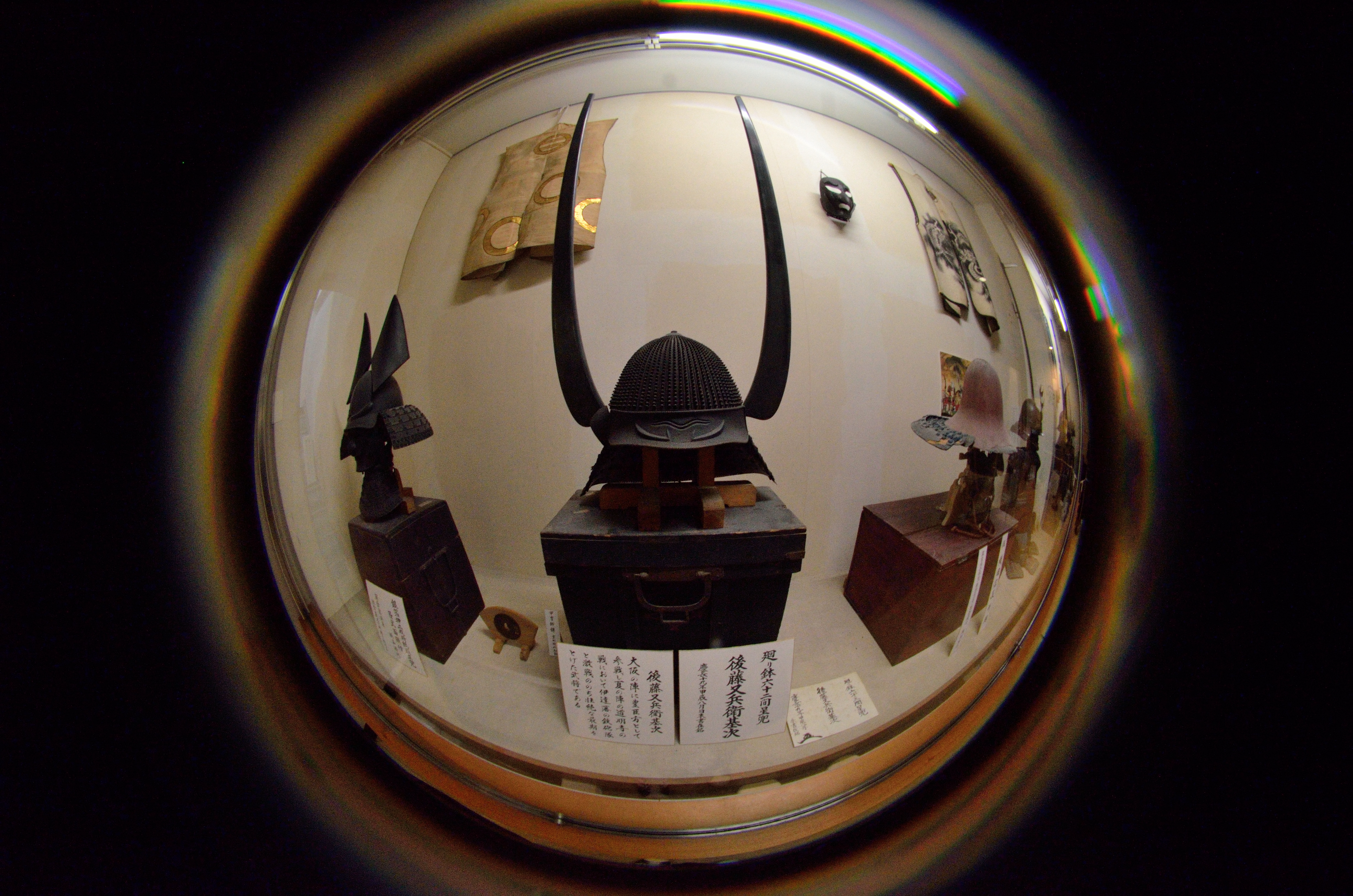 ガラス越しに撮影している。ガラスに接するぎりぎりのところから撮影した