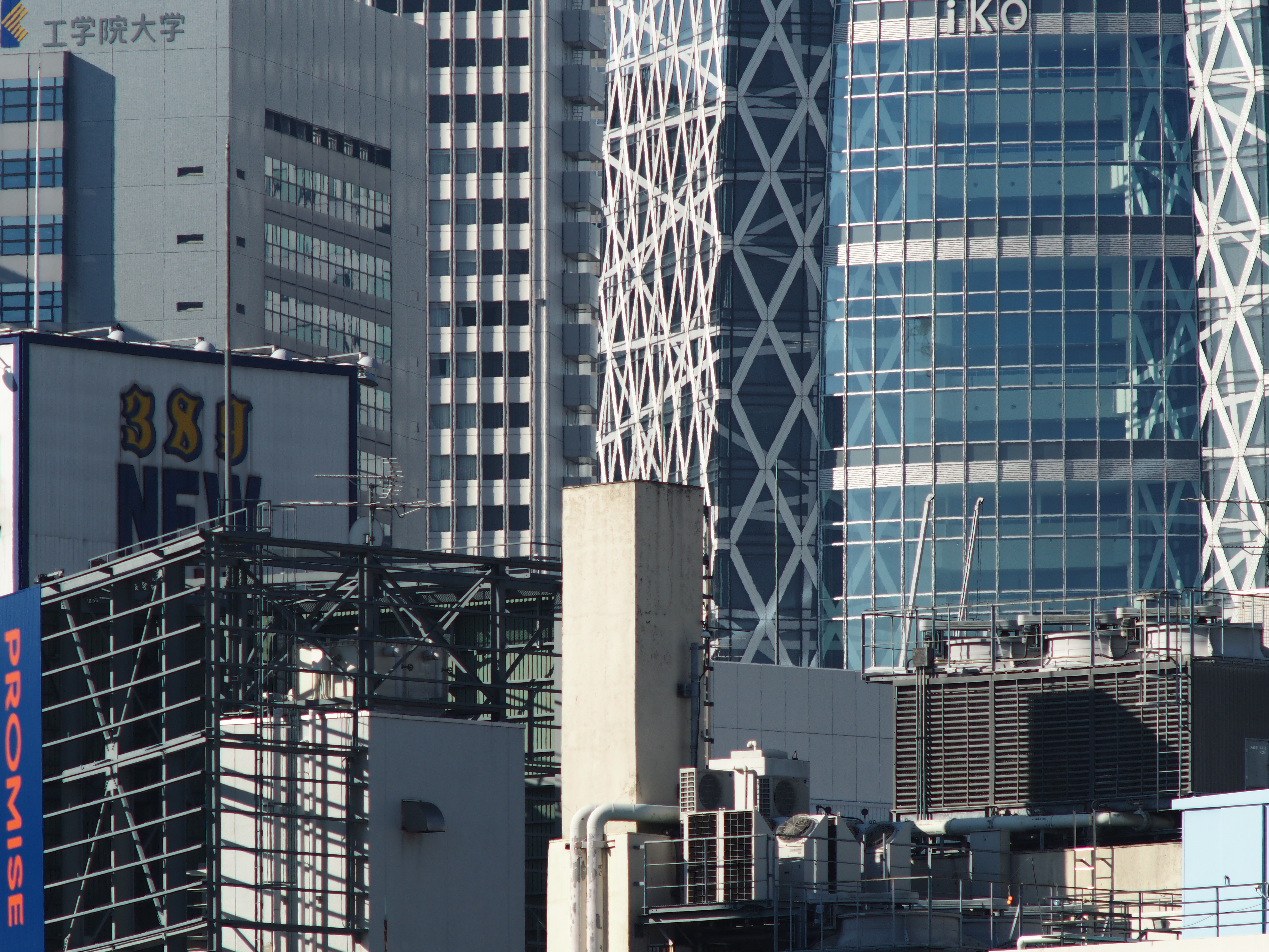 E-M1 / Carl Zeiss Jena 180mm f2.8 / 1/640秒 / F5.6 / 0EV / ISO200 / 絞り優先AE