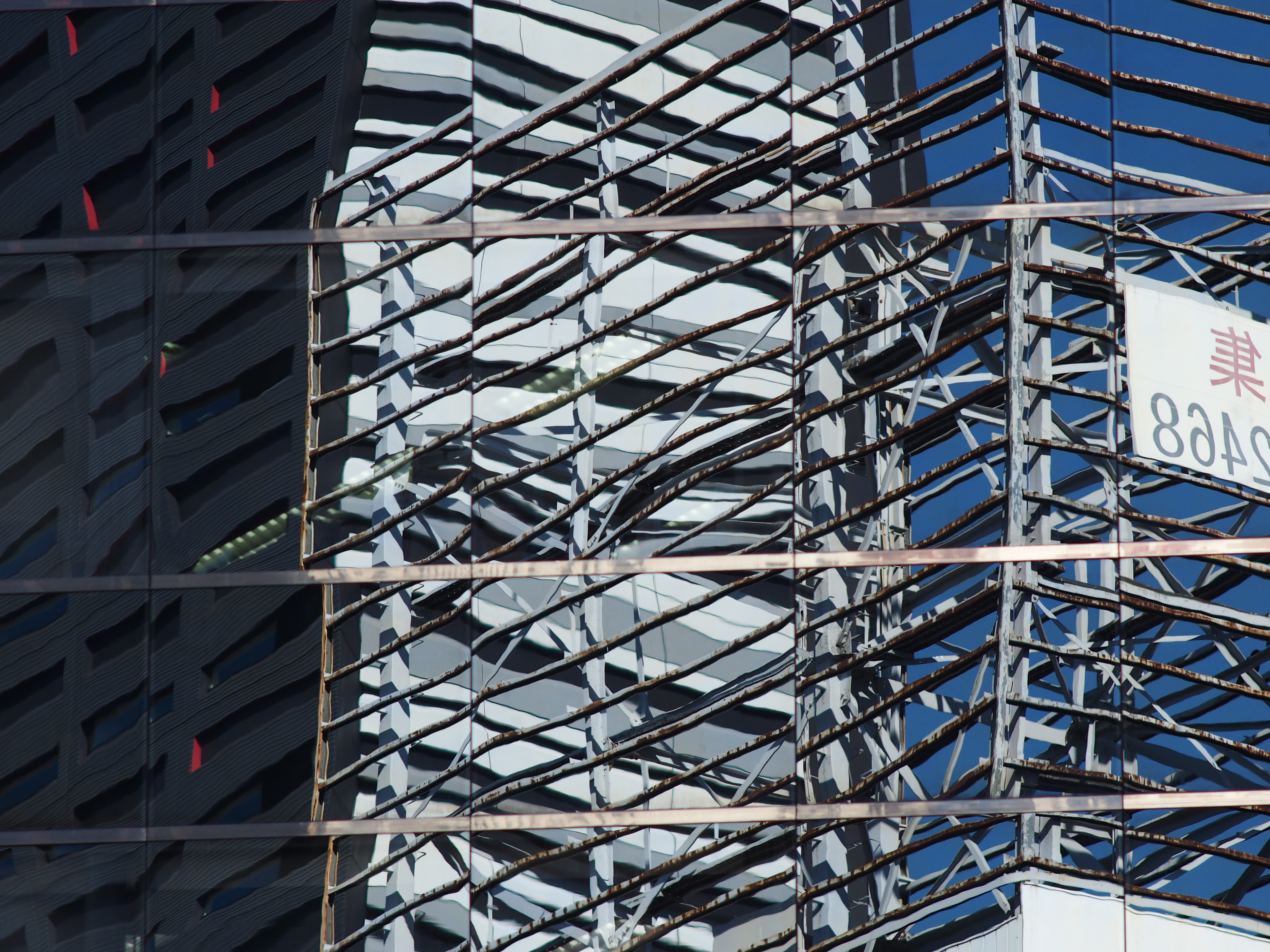 E-M1 / Carl Zeiss Jena 180mm f2.8 / 1/800秒 / F5.6 / 0EV / ISO200 / 絞り優先AE