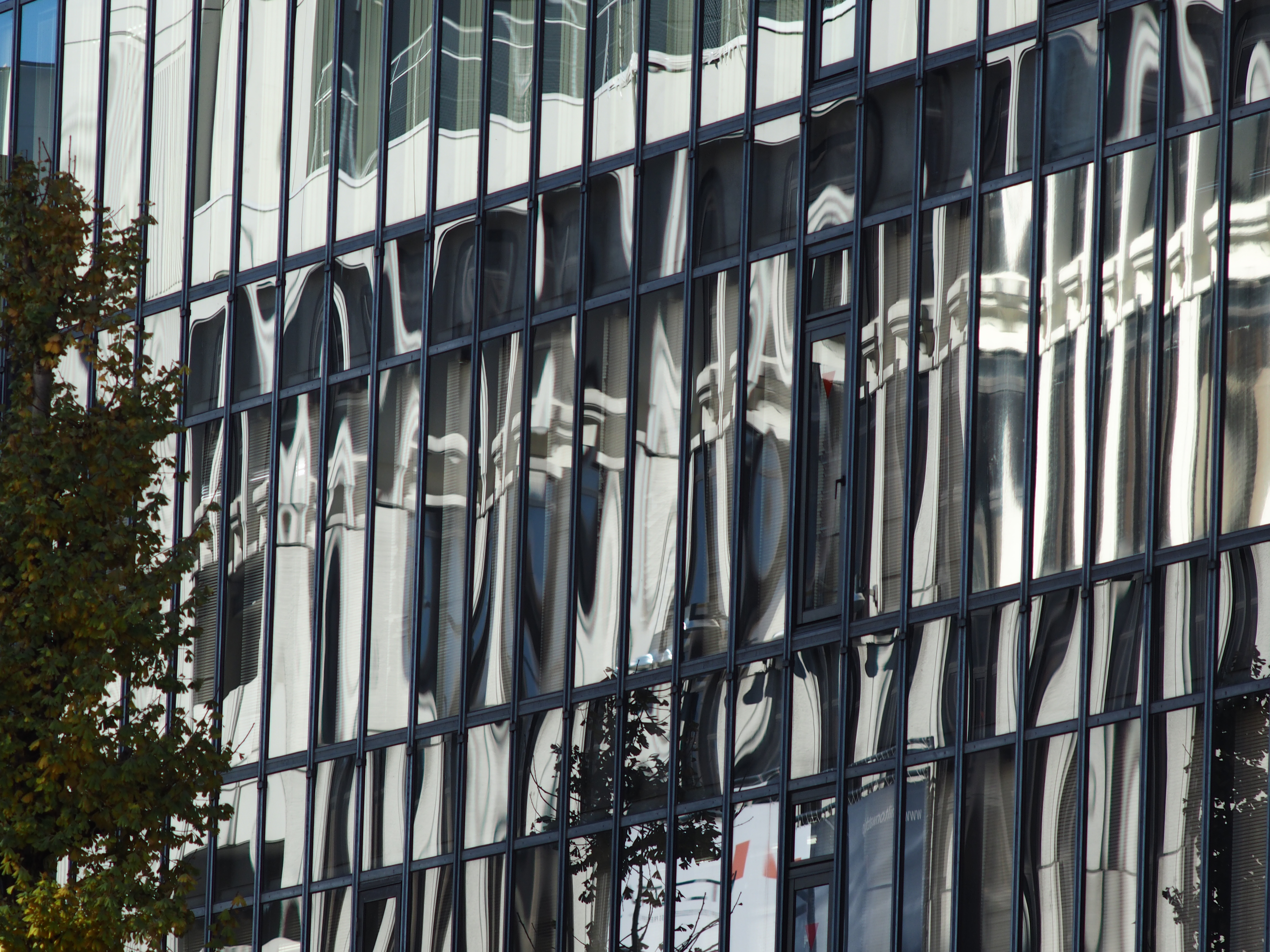 E-M1 / Carl Zeiss Jena 180mm f2.8 / 1/500秒 / F5.6 / 0EV / ISO200 / 絞り優先AE