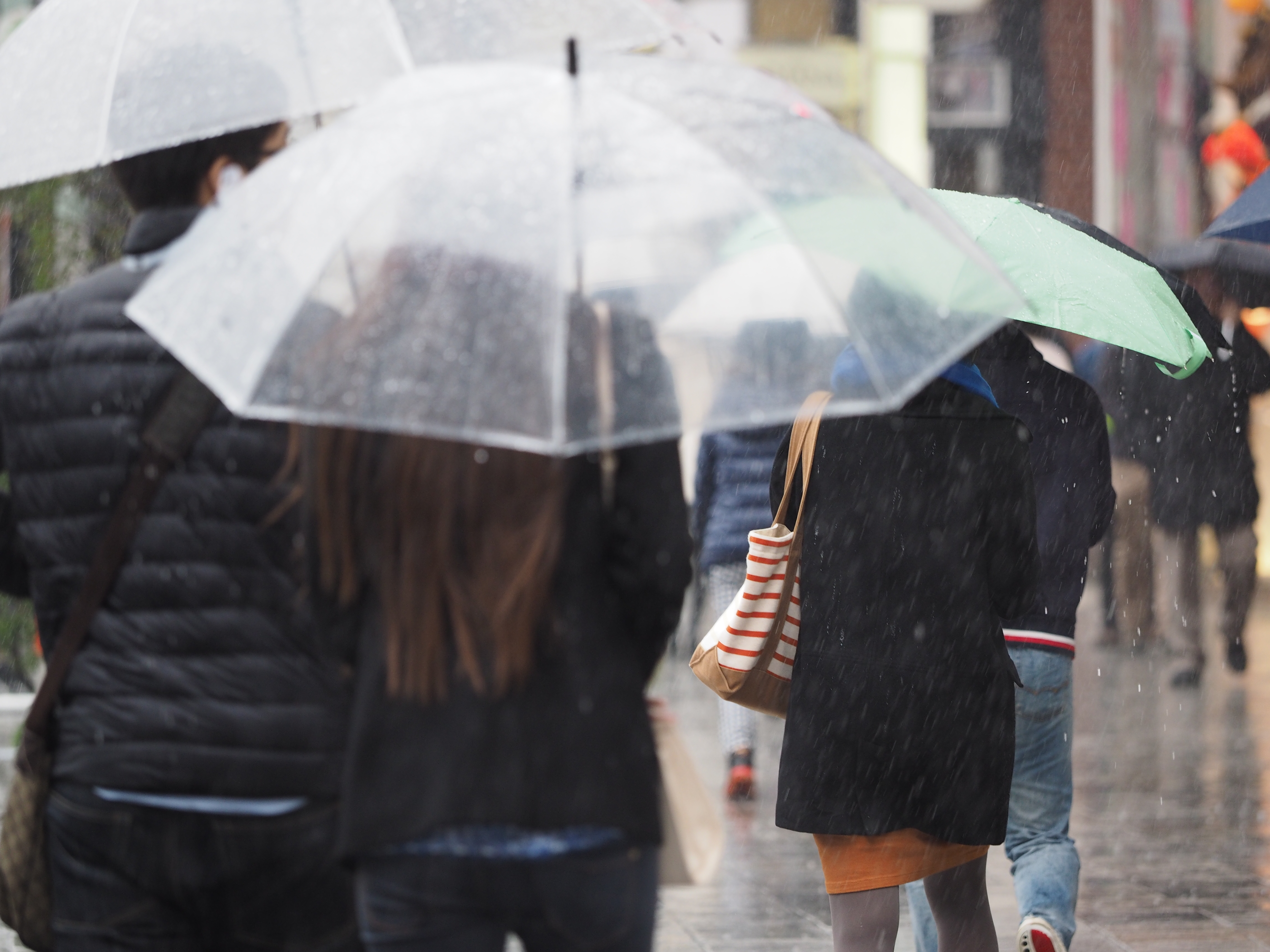 E-M1 / M.ZUIKO DIGITAL ED 40-150mm F2.8 PRO / 1/320秒 / F2.8 / 0EV / ISO500 / プログラム