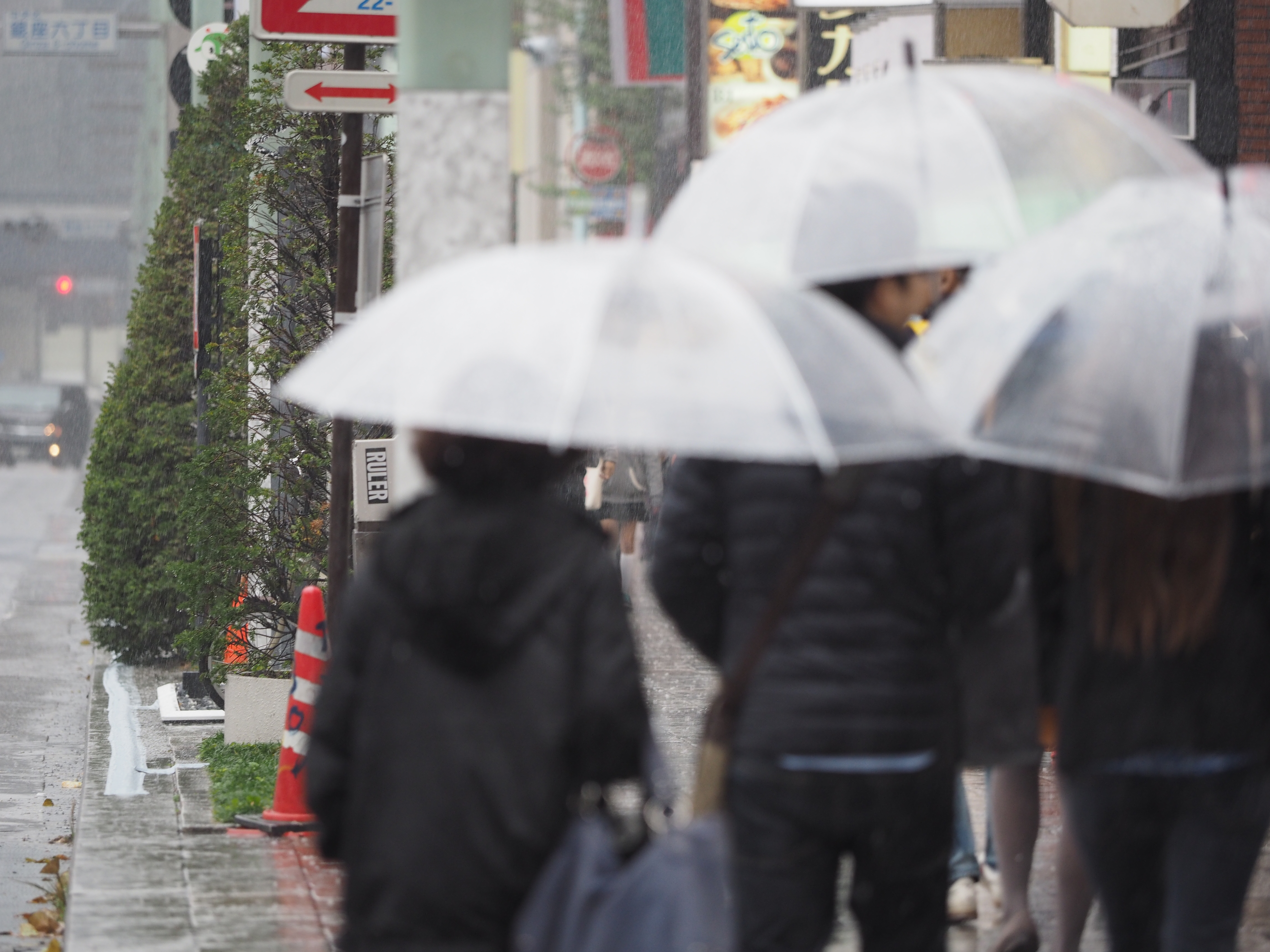 E-M1 / M.ZUIKO DIGITAL ED 40-150mm F2.8 PRO / 1/320秒 / F2.8 / 0EV / ISO400 / プログラム