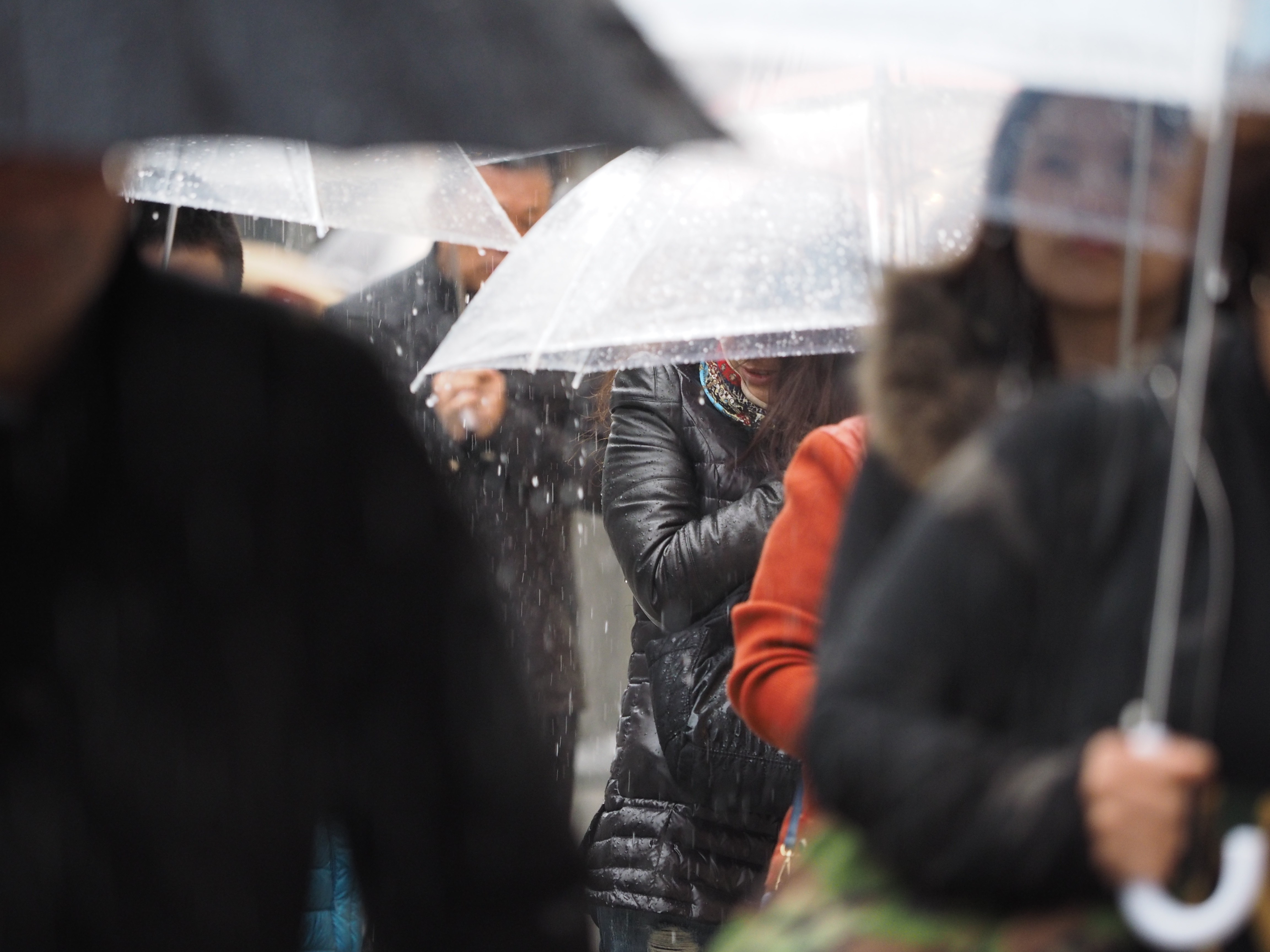 E-M1 / M.ZUIKO DIGITAL ED 40-150mm F2.8 PRO / 1/320秒 / F2.8 / 0EV / ISO1000 / プログラム