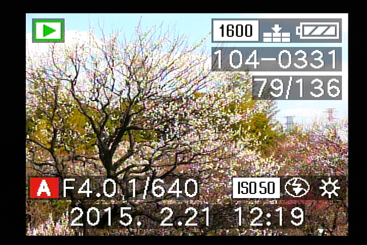 再生モード（モードダイヤルで選択）の画面。背面のDISPLAYボタンを押すたびに、液晶モニターと電子ファインダーの表示が「表示あり→撮影情報あり→表示なし→…」と、切り換わる。「撮影情報あり」の情報はかなり簡素。
