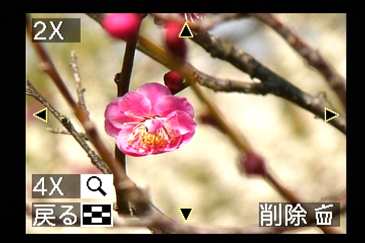 再生モードで、ズームレバーをW（ズーム広角側）に動かすと、全9枚の「マルチ再生」表示になる。反対に、ズームレバーをT（望遠側）に動かすと、そのたびに「2倍→4倍→8倍→16倍」と、再生中の画像が拡大される。