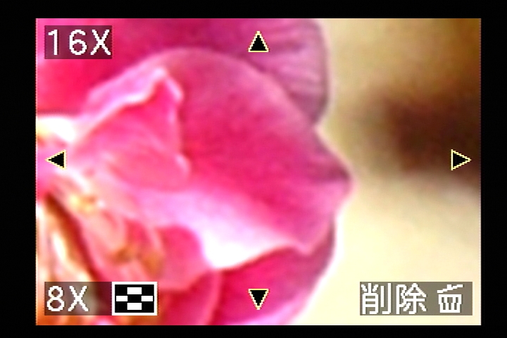 再生モードで、ズームレバーをW（ズーム広角側）に動かすと、全9枚の「マルチ再生」表示になる。反対に、ズームレバーをT（望遠側）に動かすと、そのたびに「2倍→4倍→8倍→16倍」と、再生中の画像が拡大される。